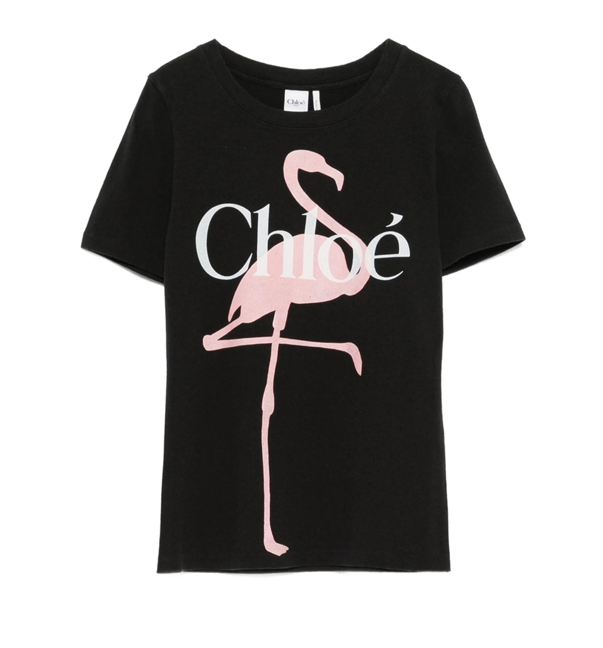 Baby Fit Logo T-Shirt In Cotton Jersey