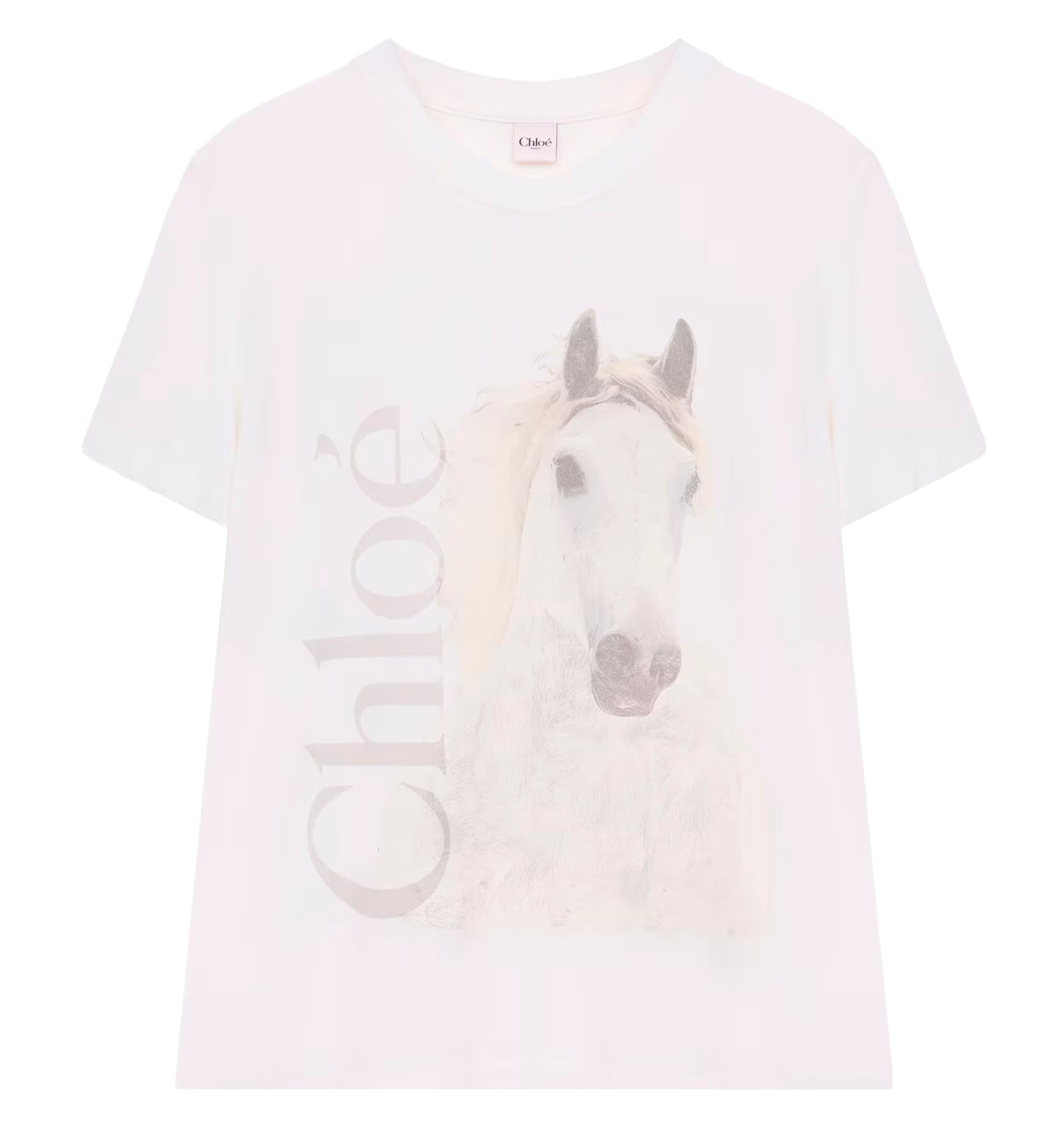 Crew-neck logo T-shirt in cotton jersey
