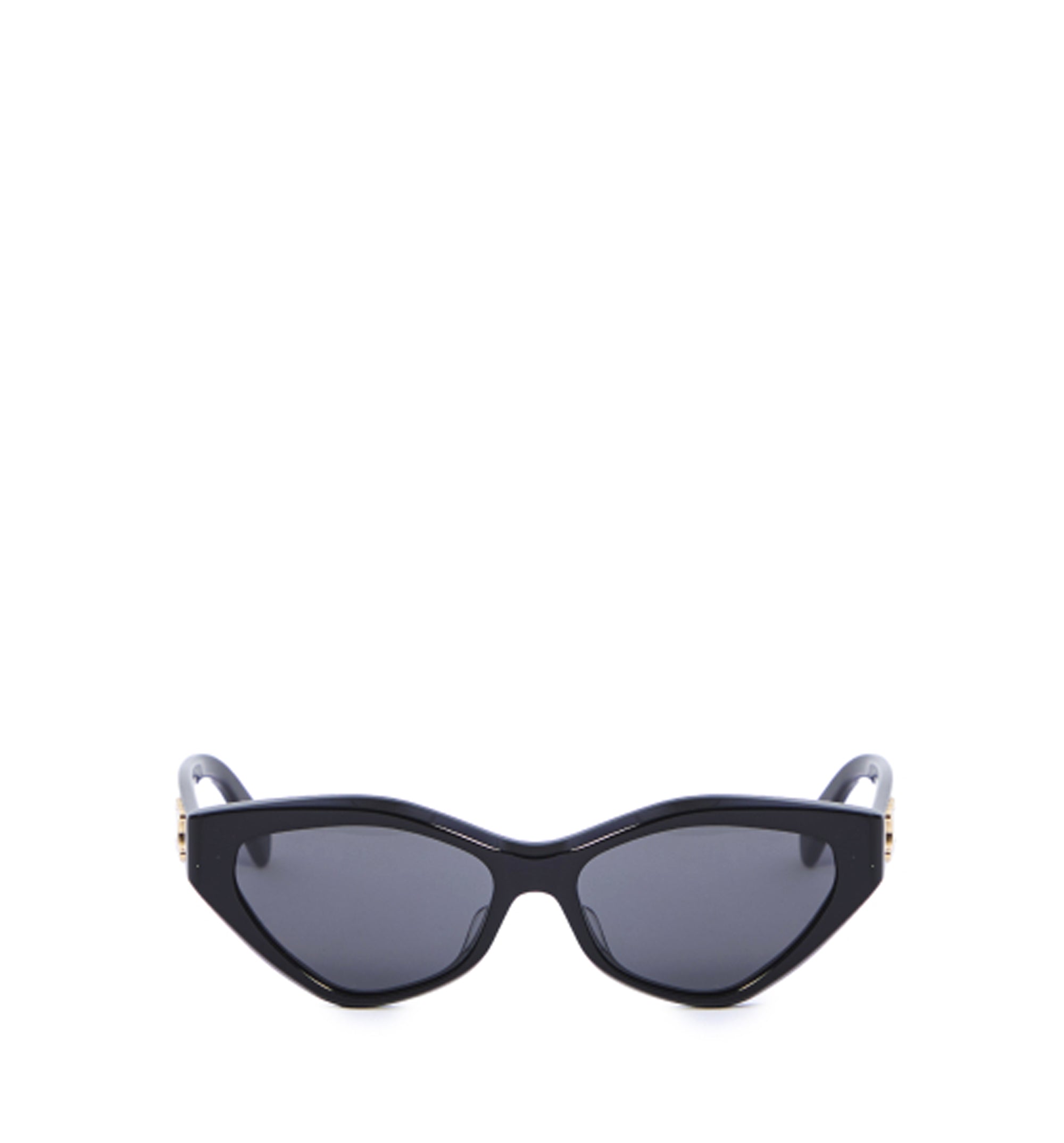 Triomphe 17 Sunglasses In Acetate