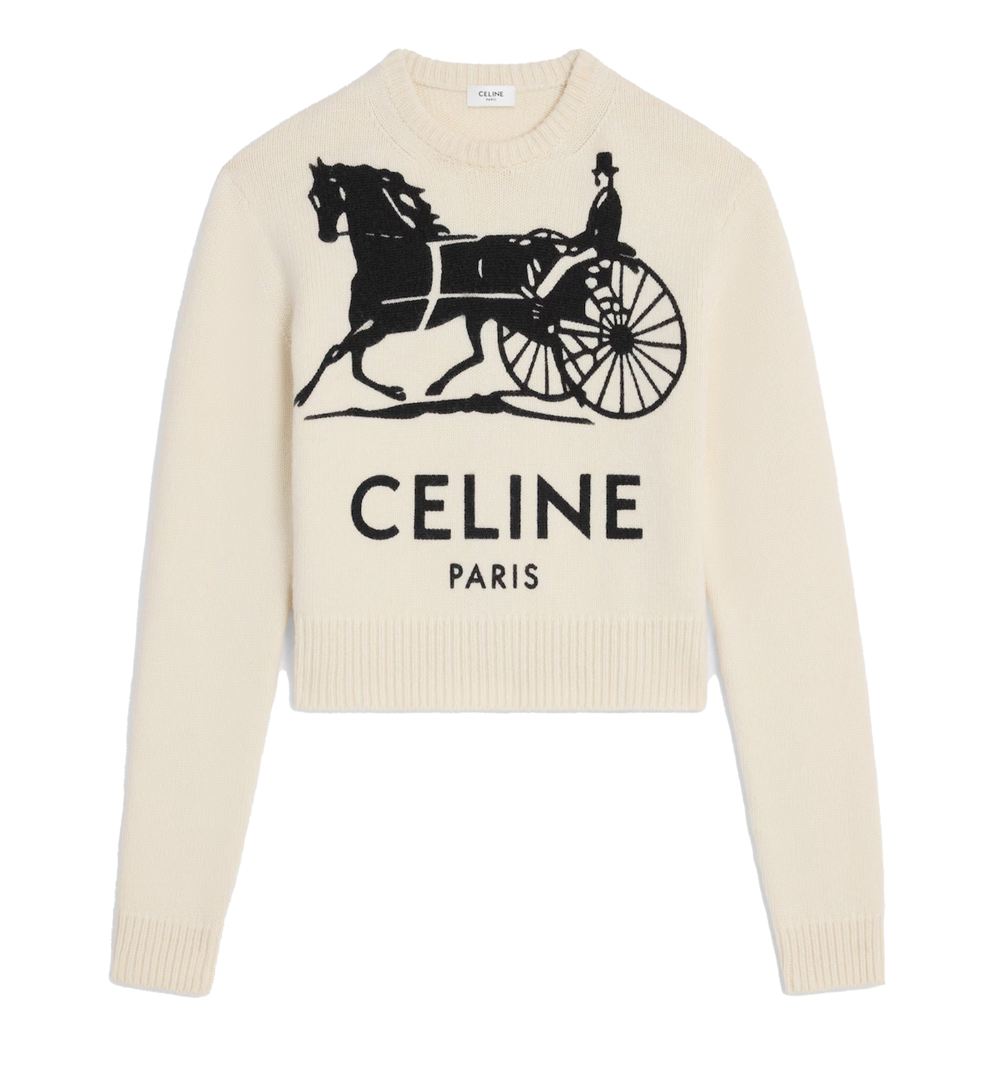Crewneck Sweater in Cashmere