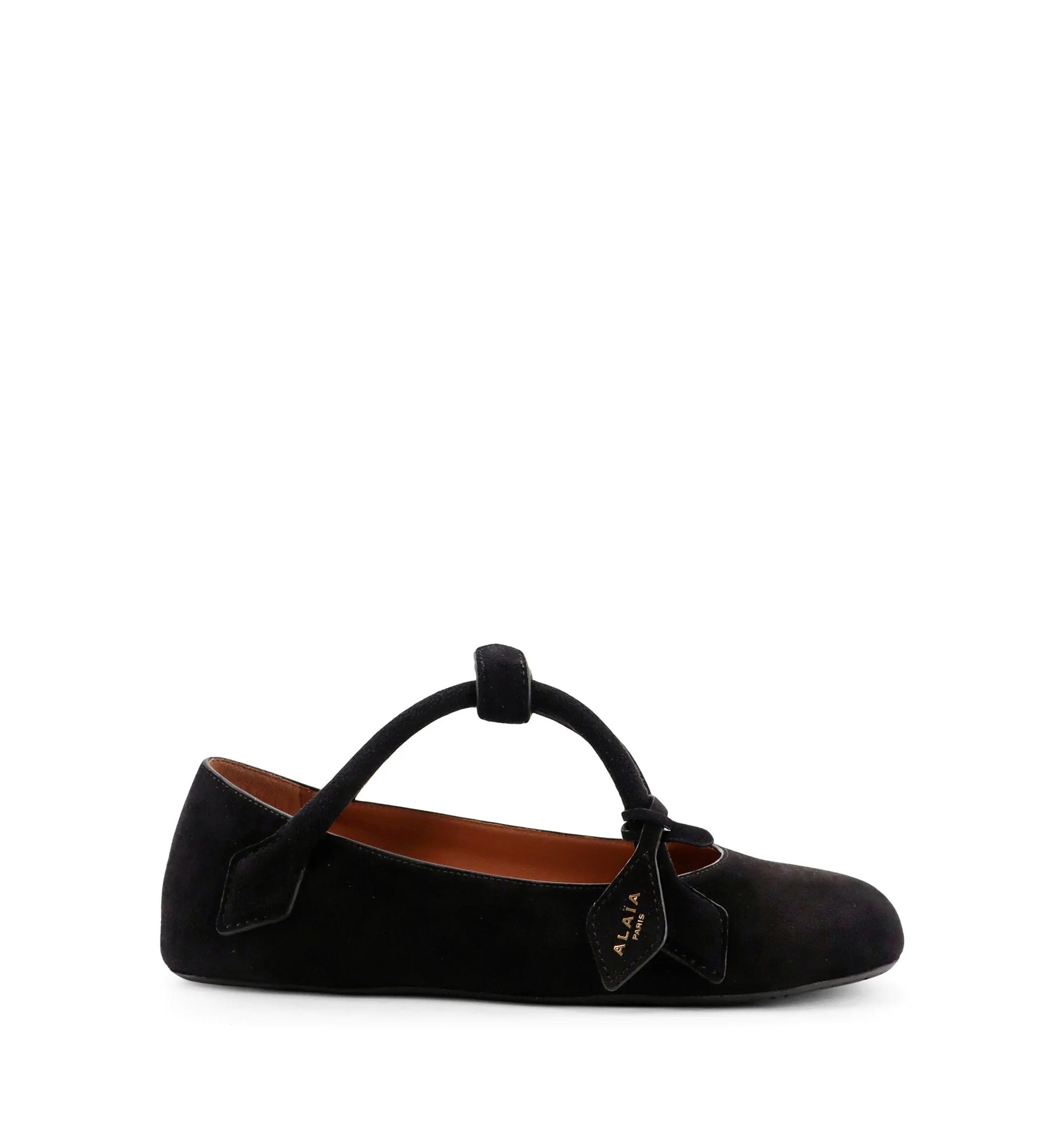 Le Teckel Ballet Flats In Suede Goatskin