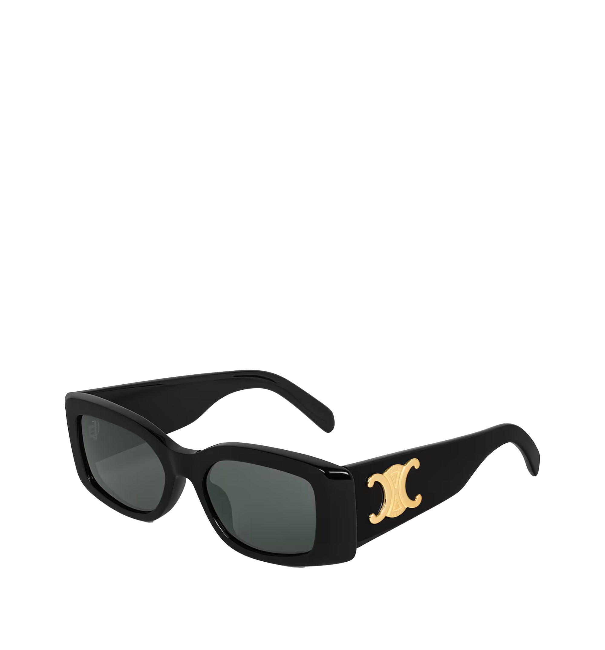 Triomphe XL 01 Sunglasses In Acetate