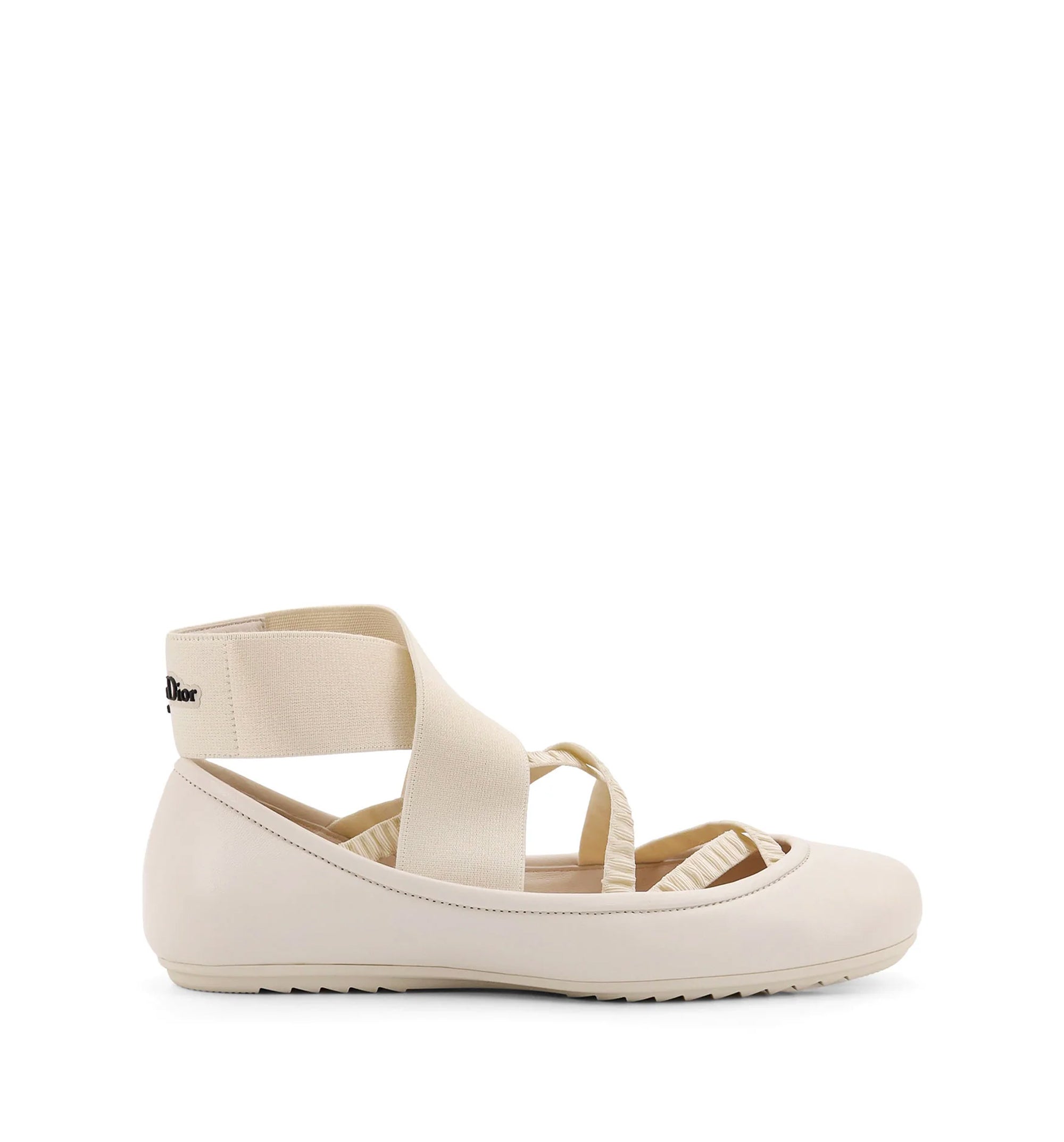 Dior Shade Ballerinas With Elastic Bands