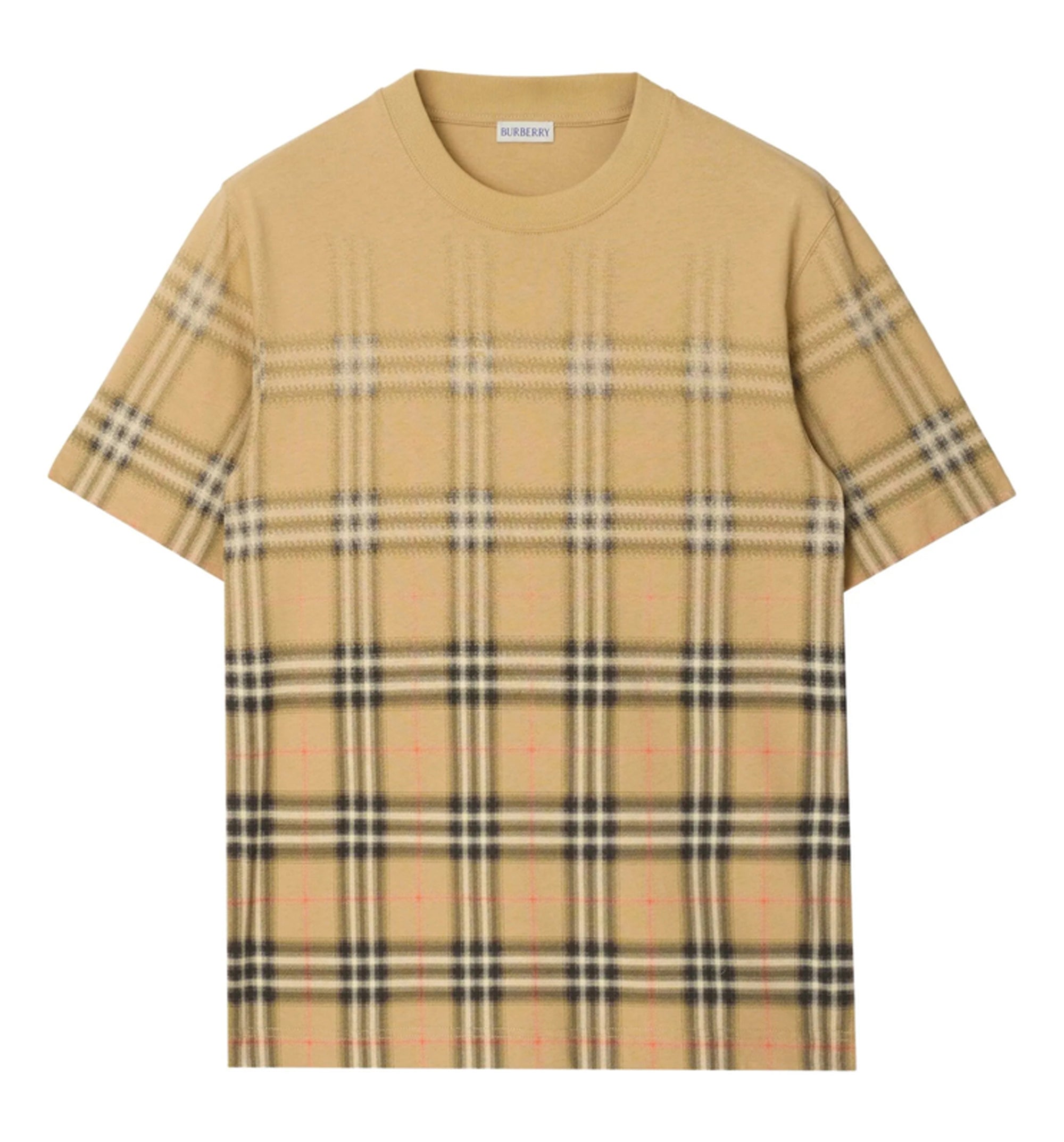 Ryan Degrade Cotton T-Shirt