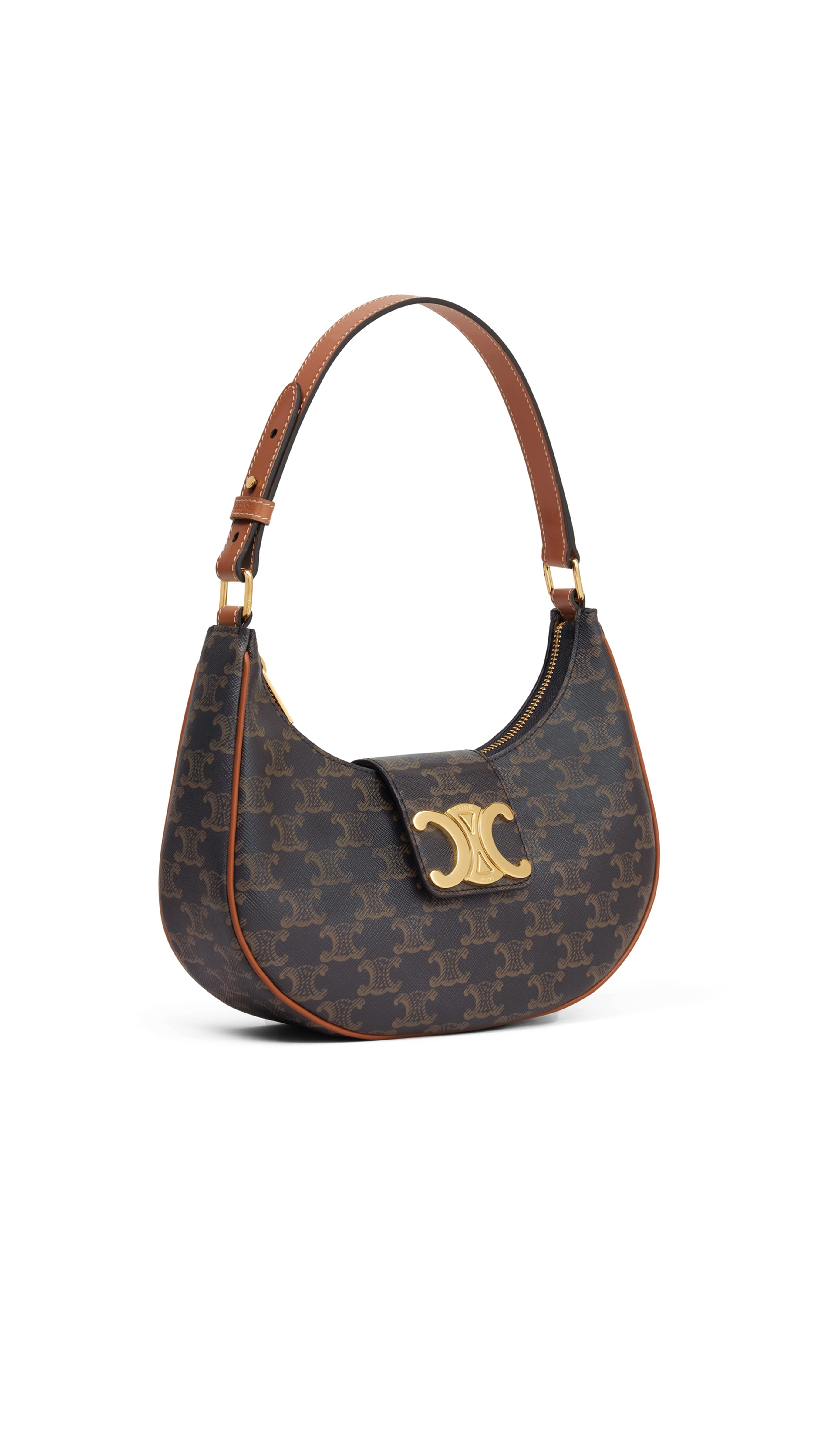 Medium Ava Triomphe Bag in Triomphe Canvas and Calfskin
