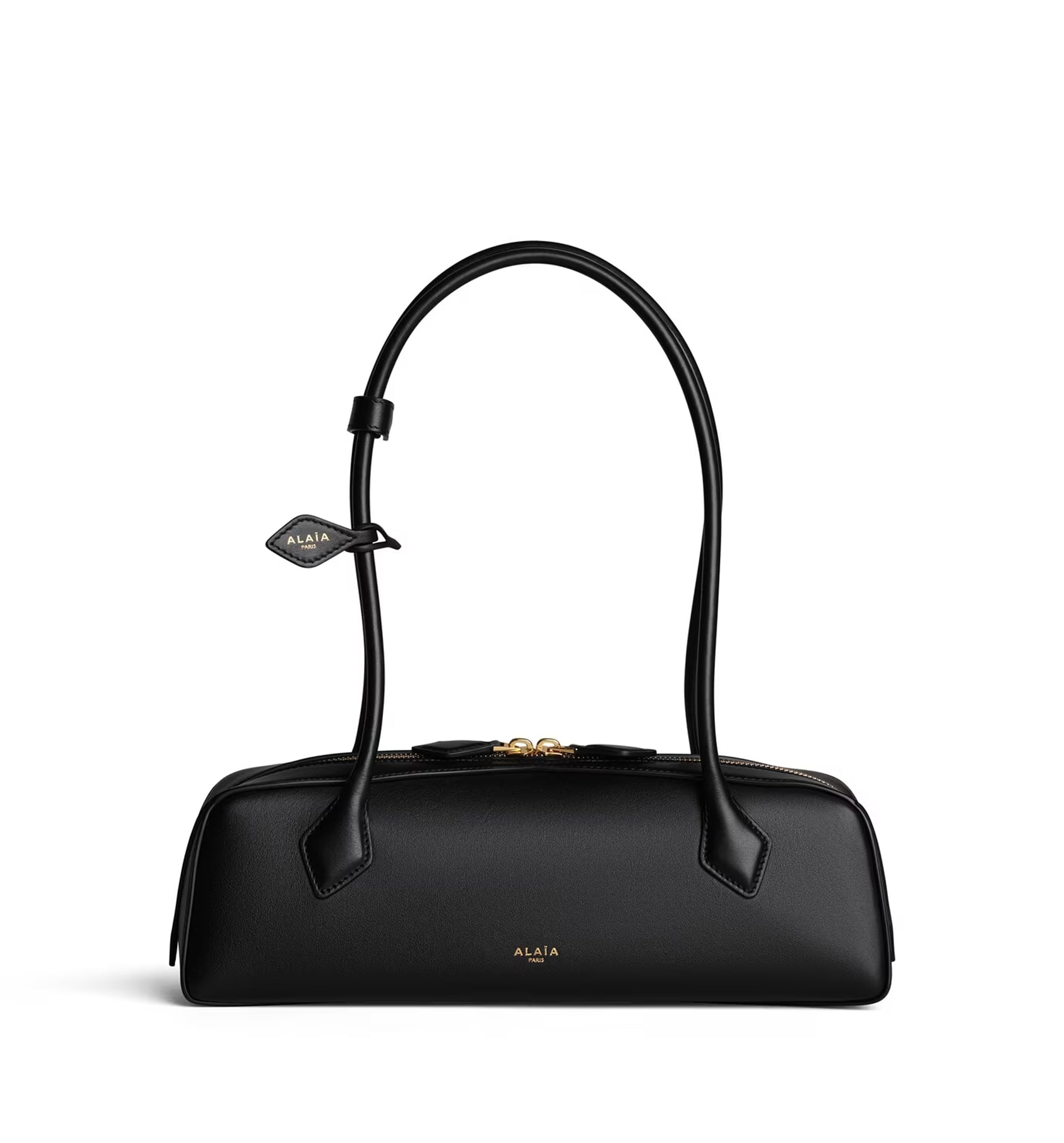 Le Teckel Medium Bag In Calfskin
