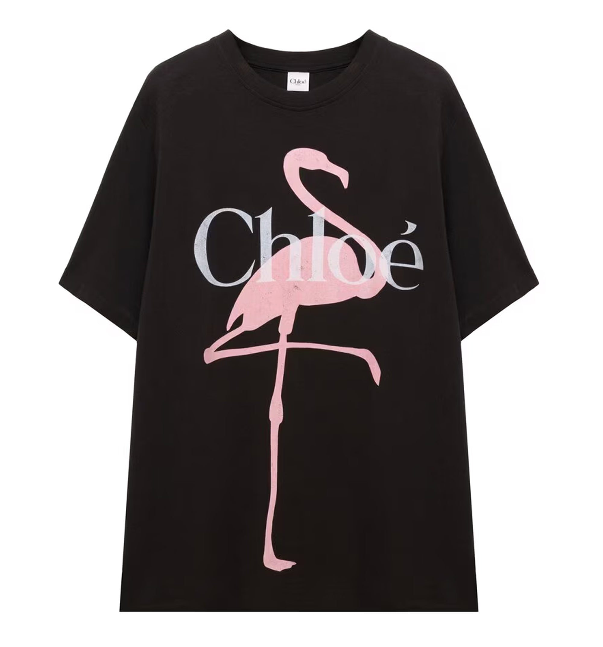 Generous Logo T-Shirt In Cotton Jersey