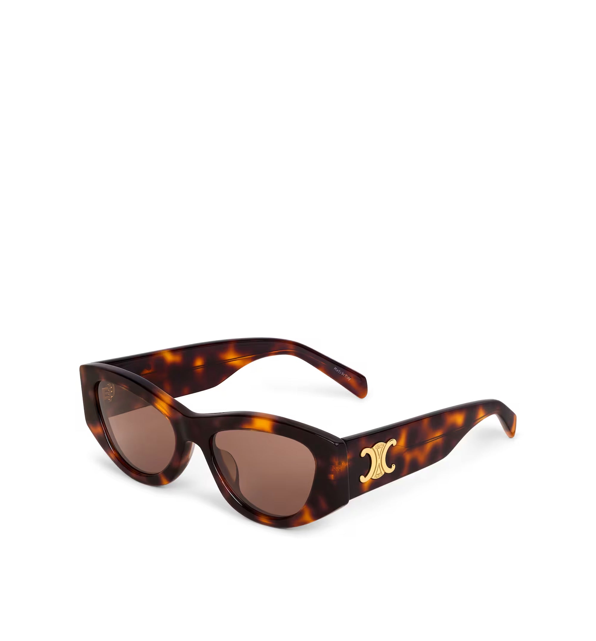 Triomphe 15 Sunglasses in Acetate