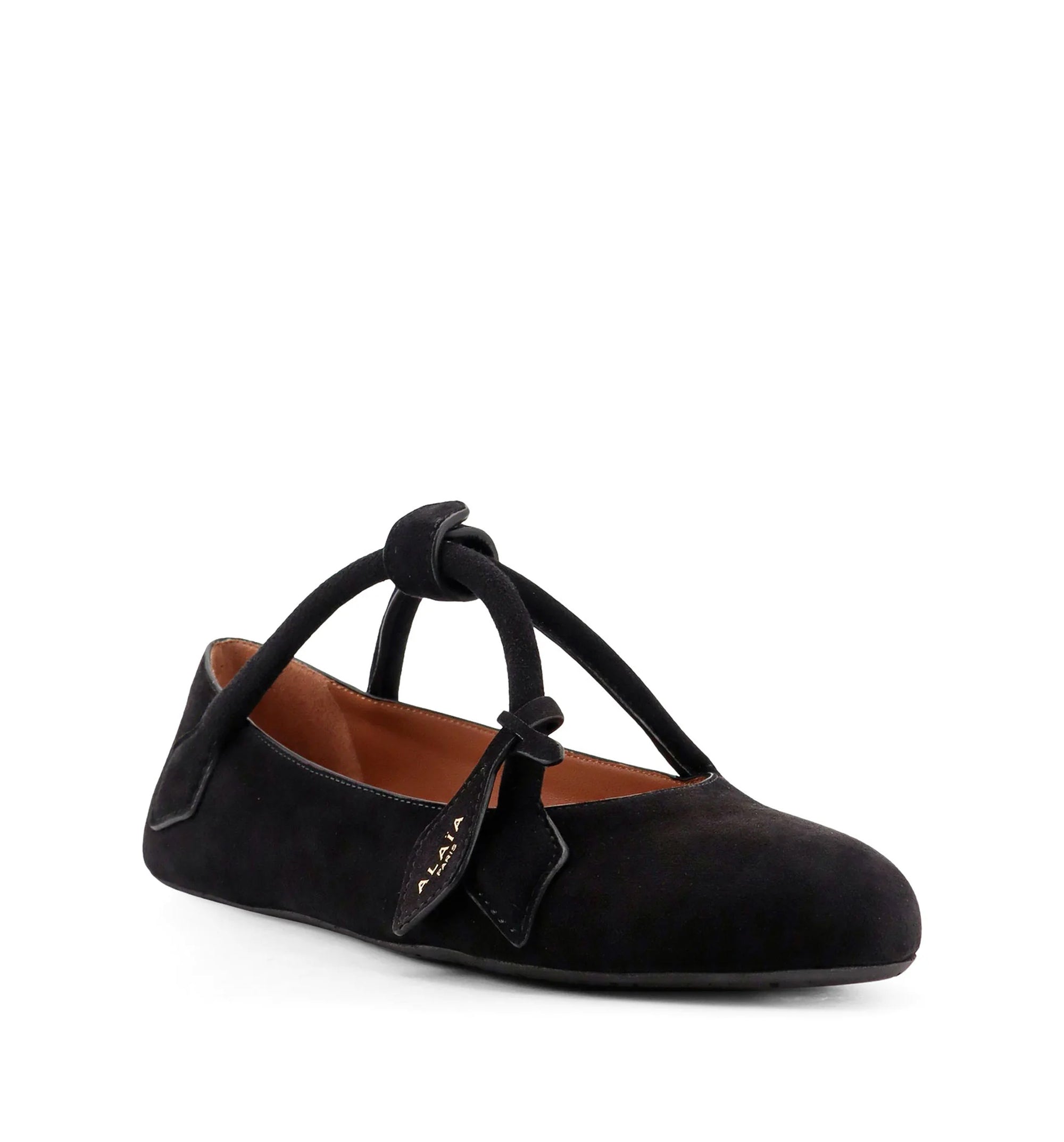 Le Teckel Ballet Flats In Suede Goatskin