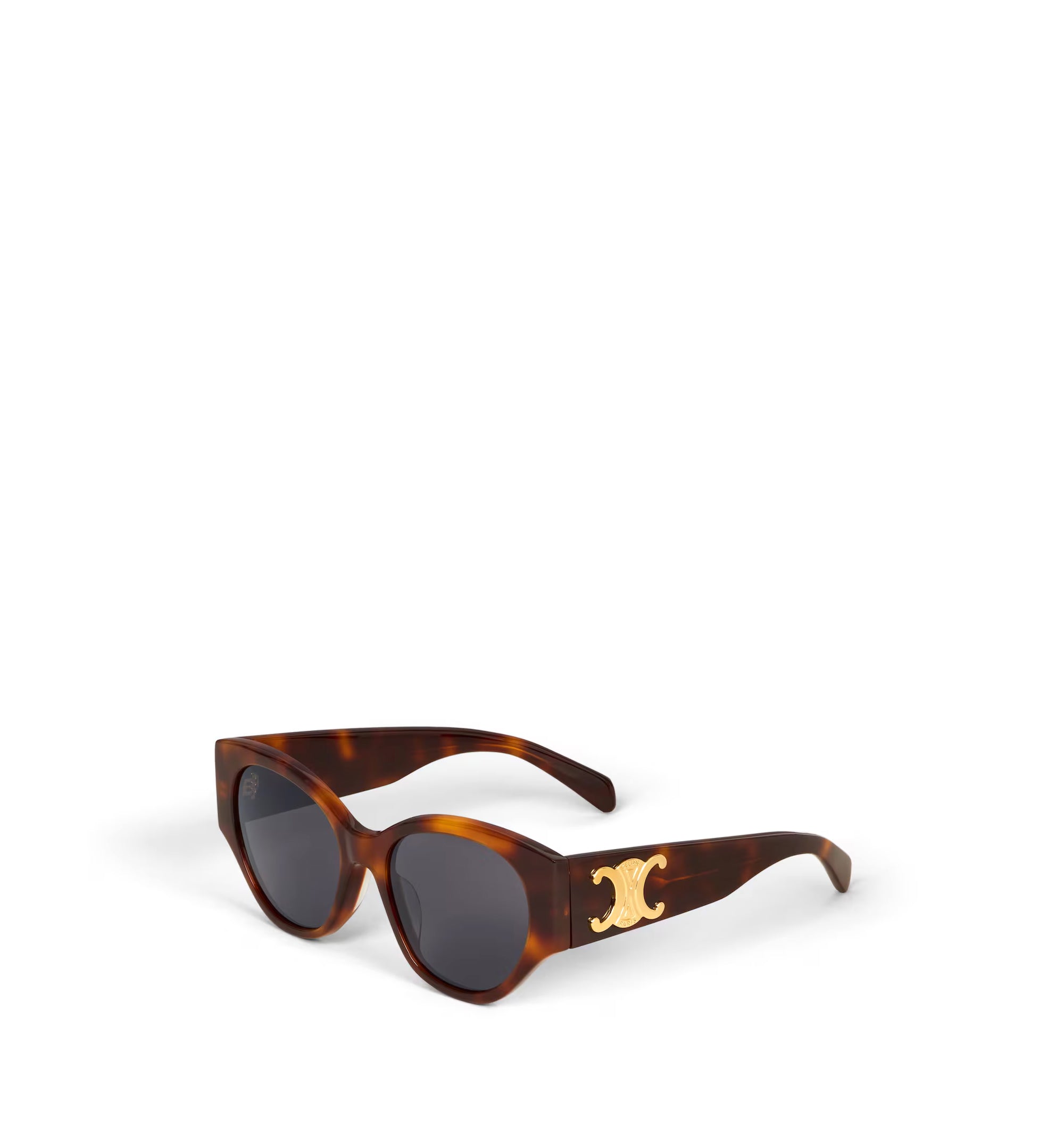 Triomphe XL 03 Sunglasses In Acetate