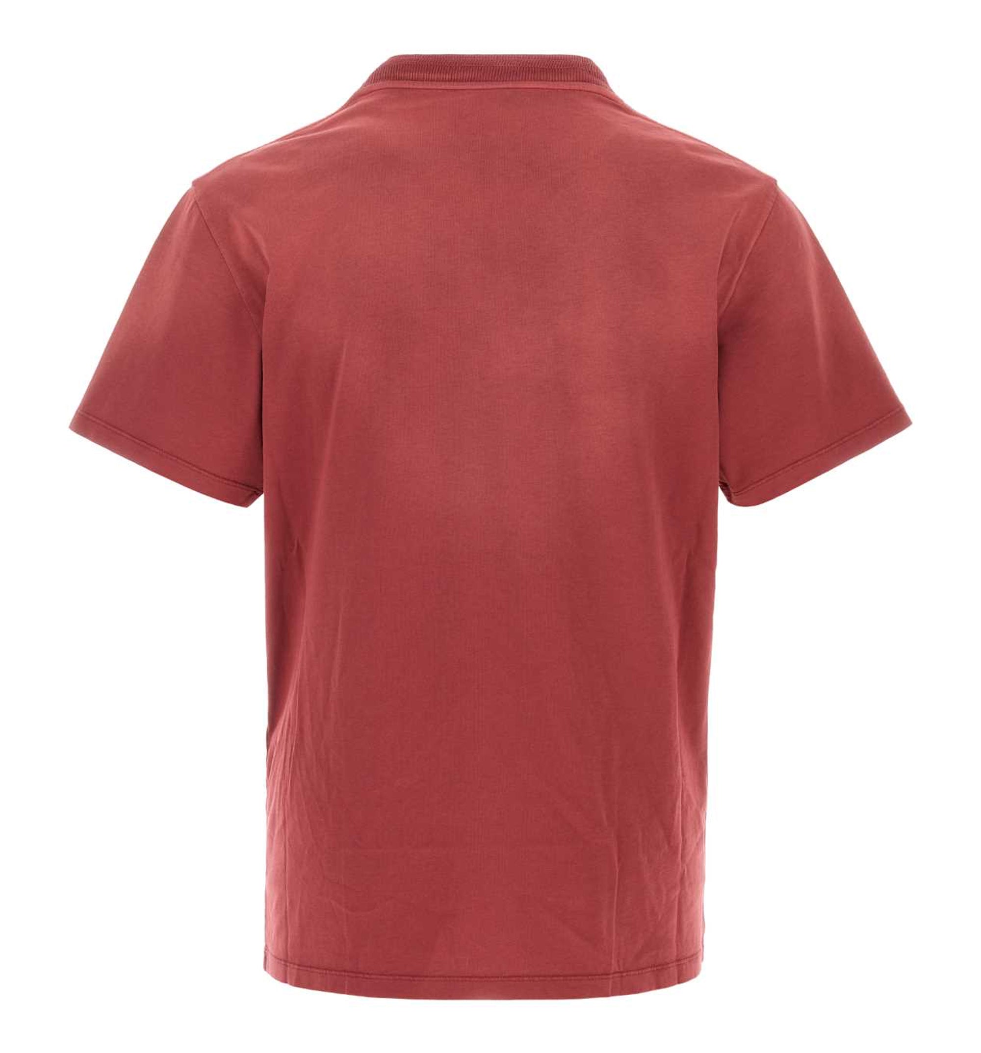 Regular Fit T-Shirt In Cotton