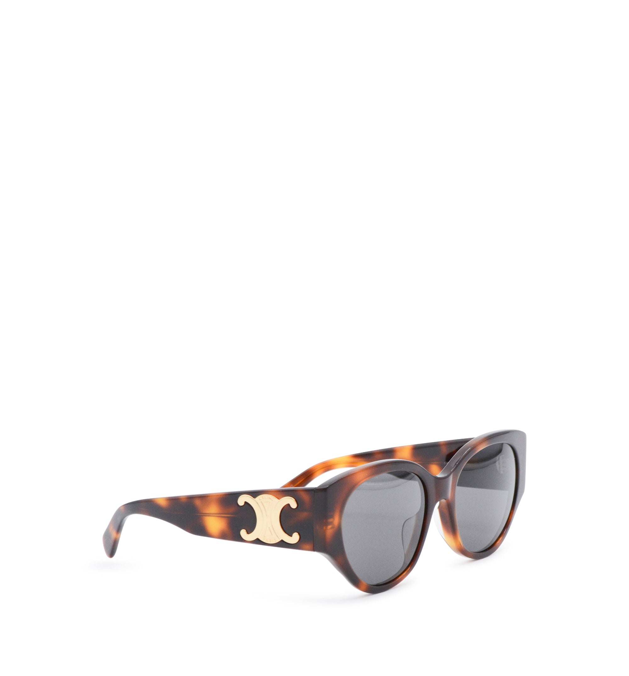 Triomphe sunglasses in Acetate