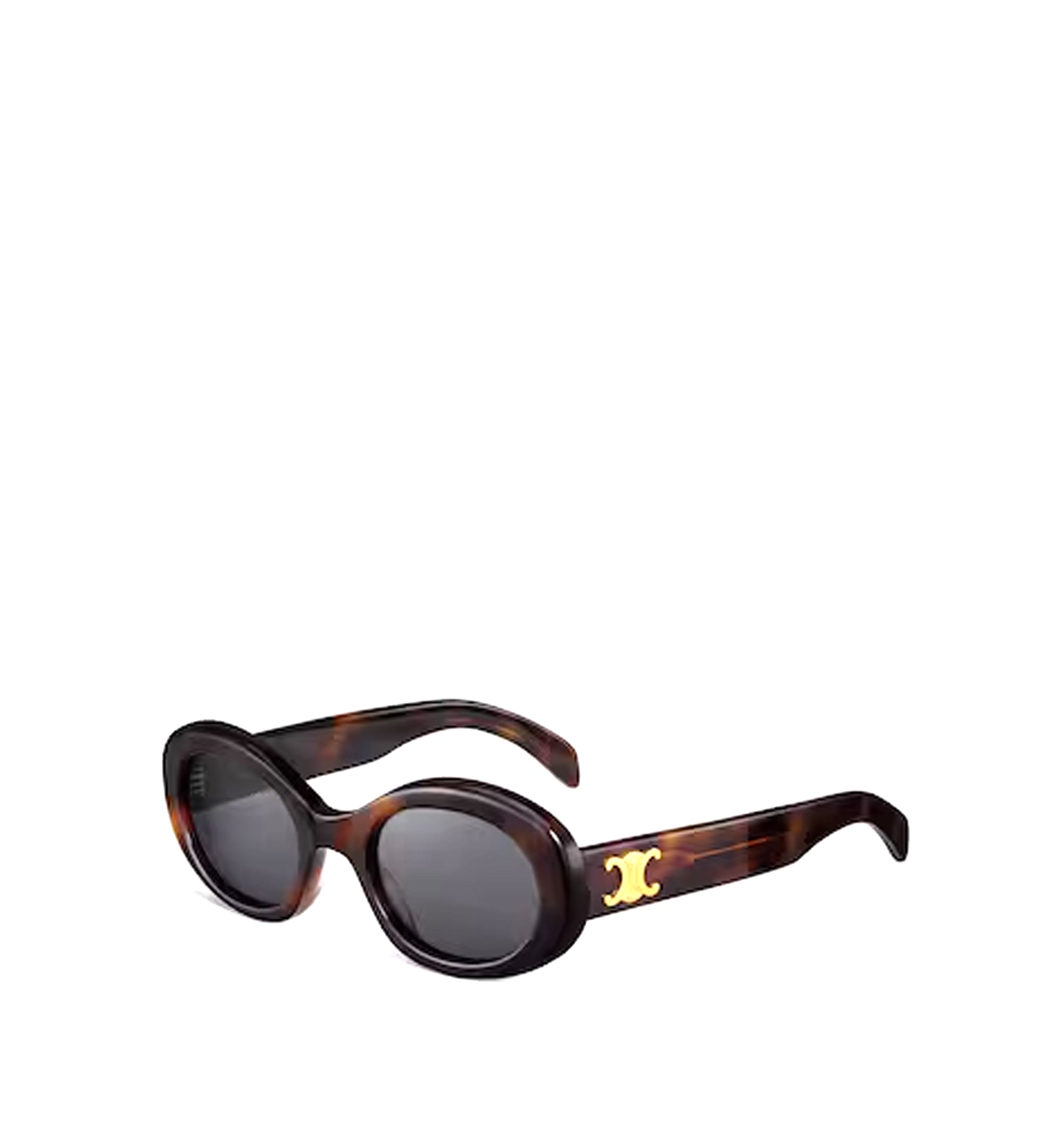 Triomphe 01 Sunglasses In Acetate