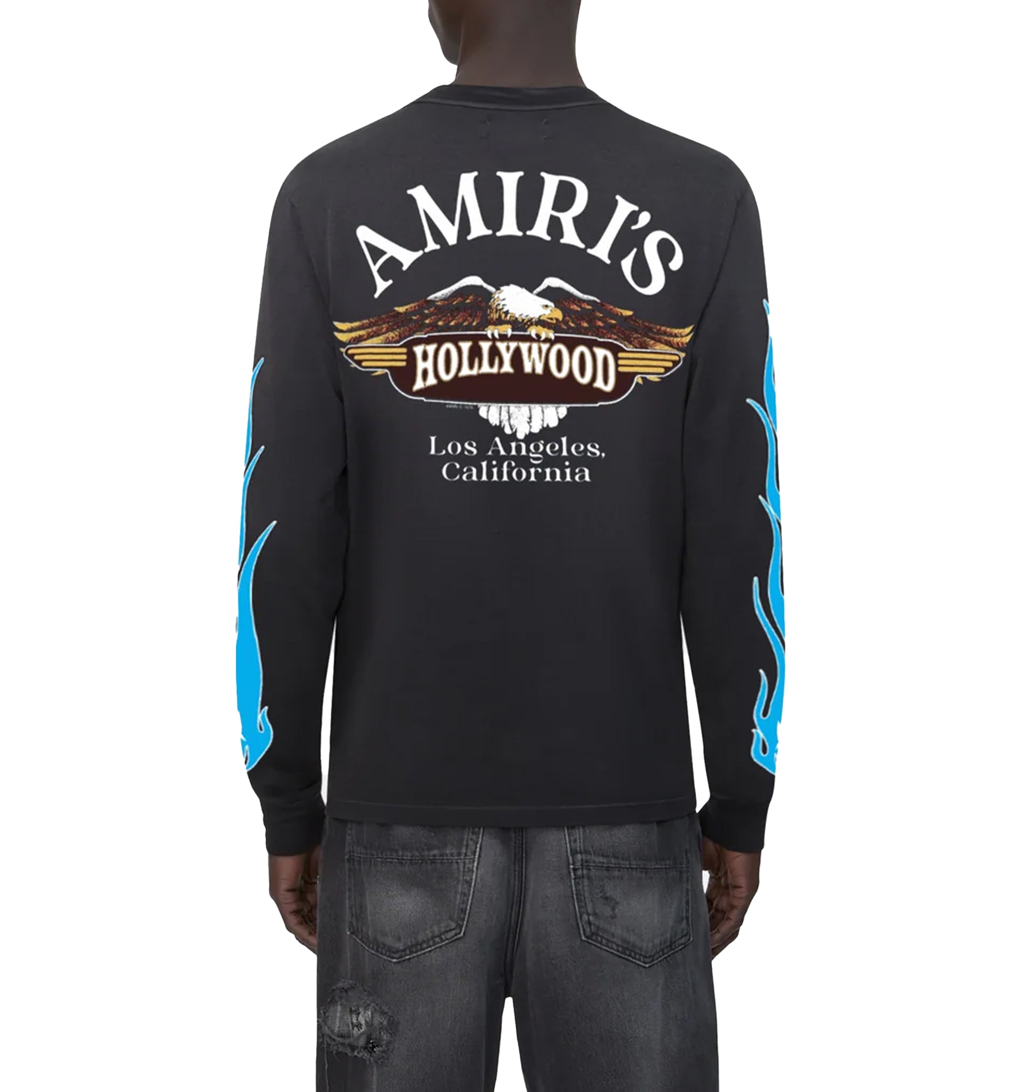 Eagle Flames Long Sleeve T-Shirt