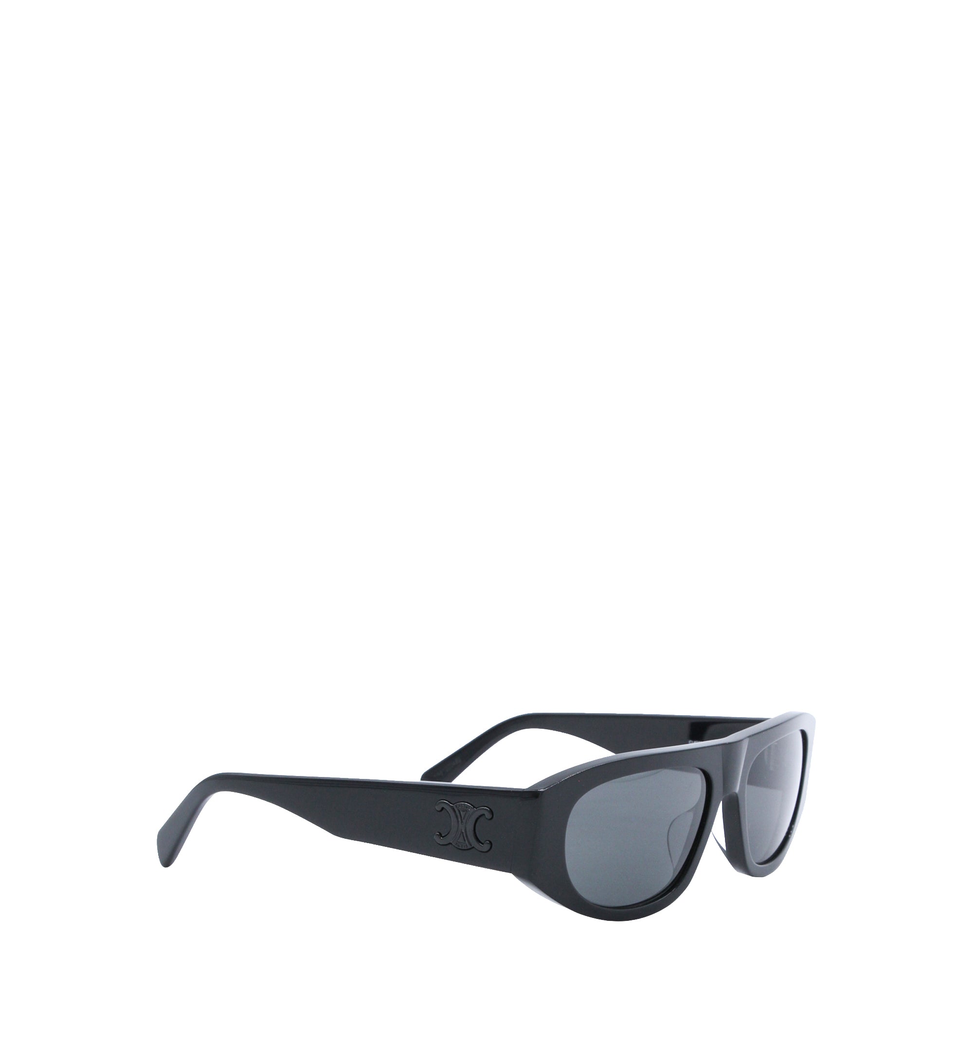 Triomphe Men 02 Sunglasses in Acetate