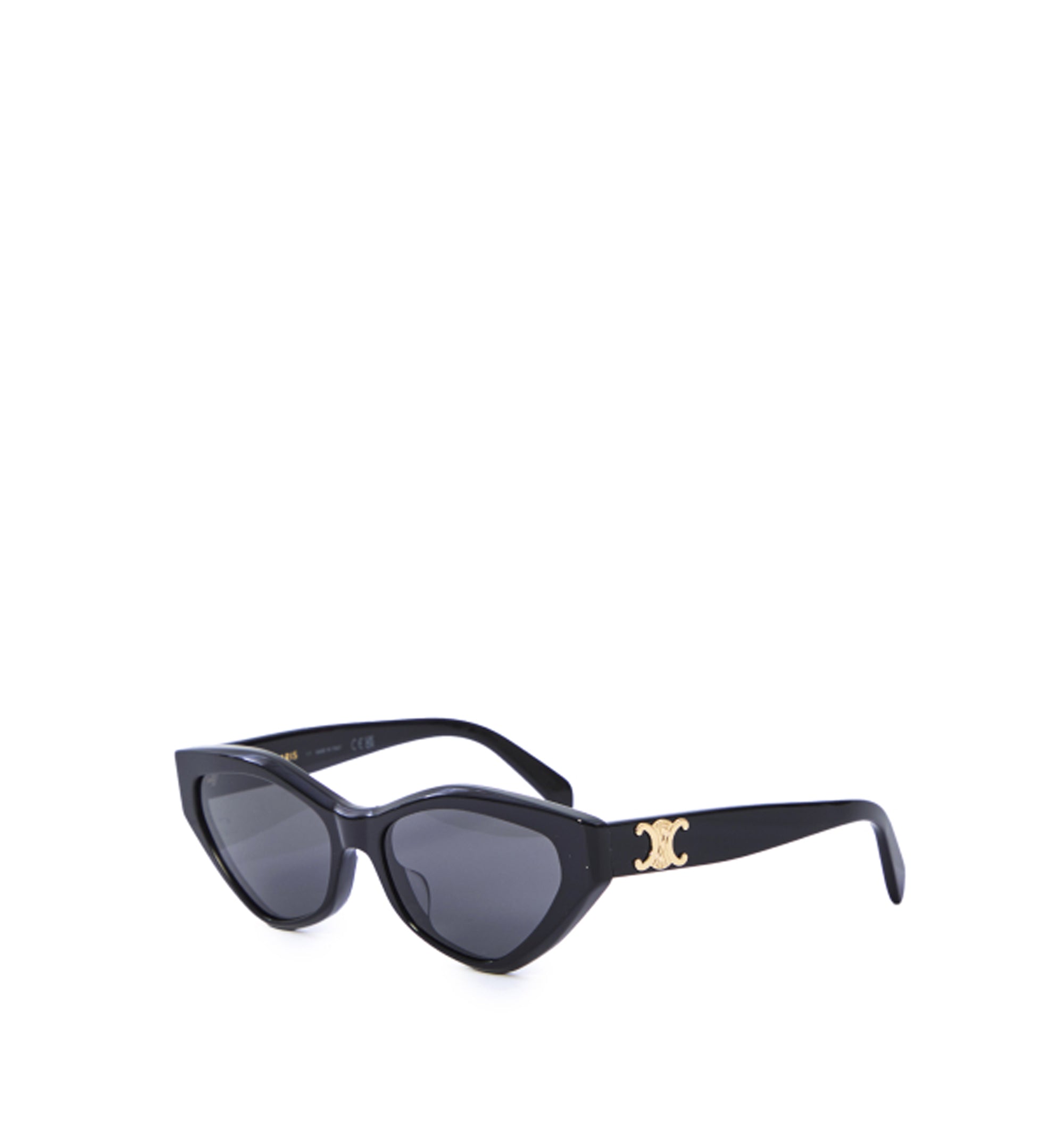 Triomphe 17 Sunglasses In Acetate