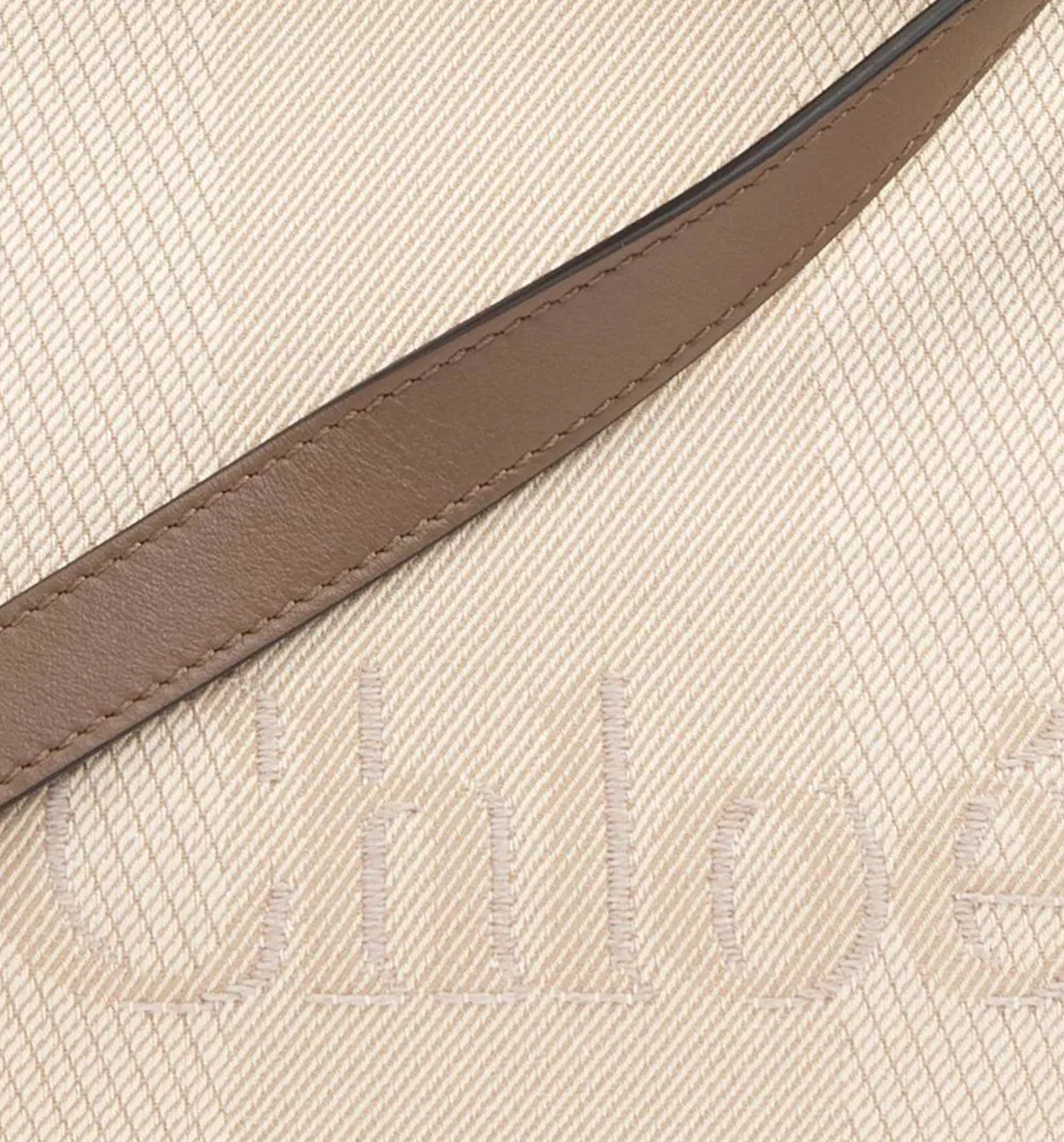 Small Chloé Carry Tote Bag in Canvas