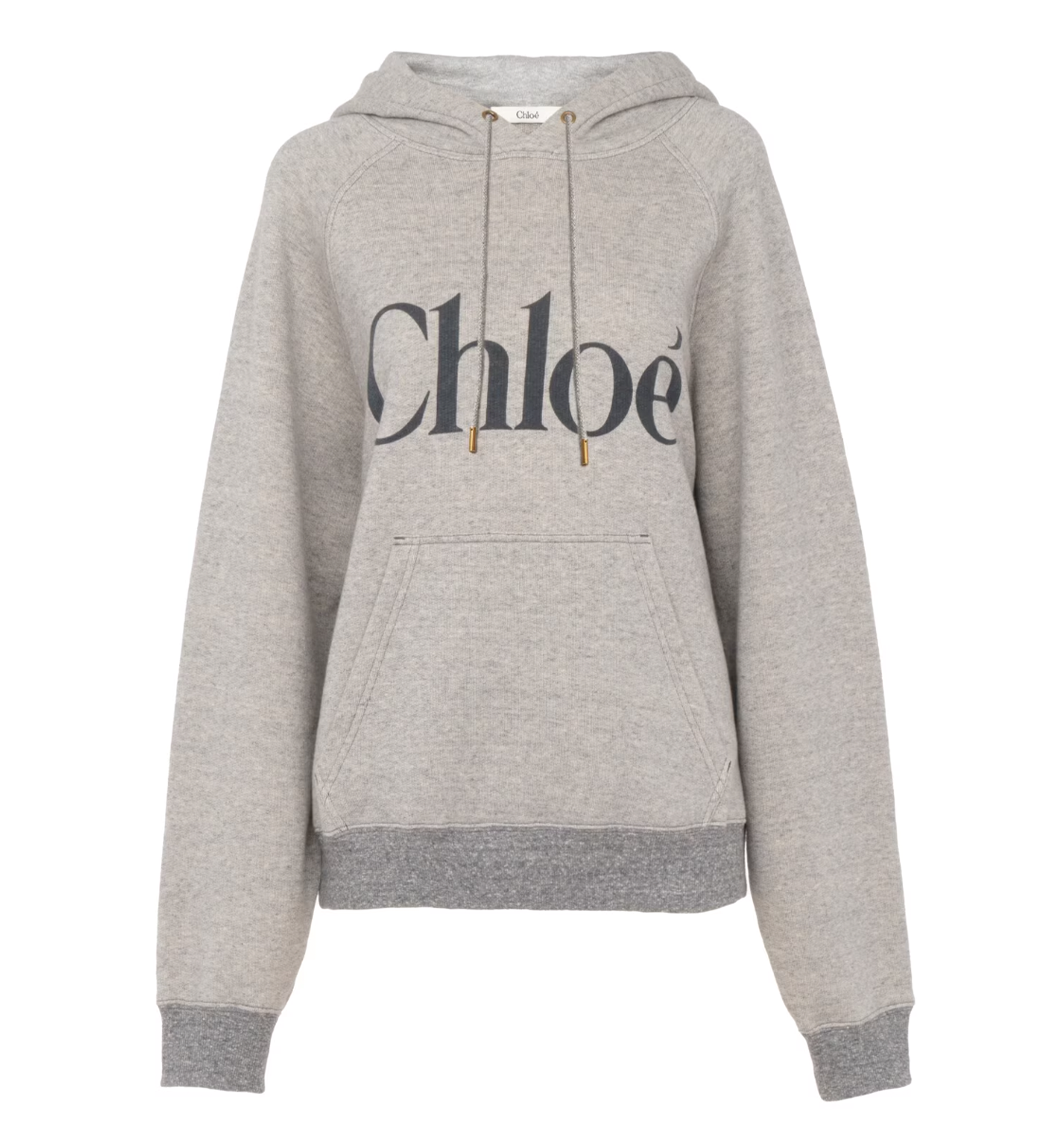 Oversized Logo Hoodie In A Cotton Fleece Mix