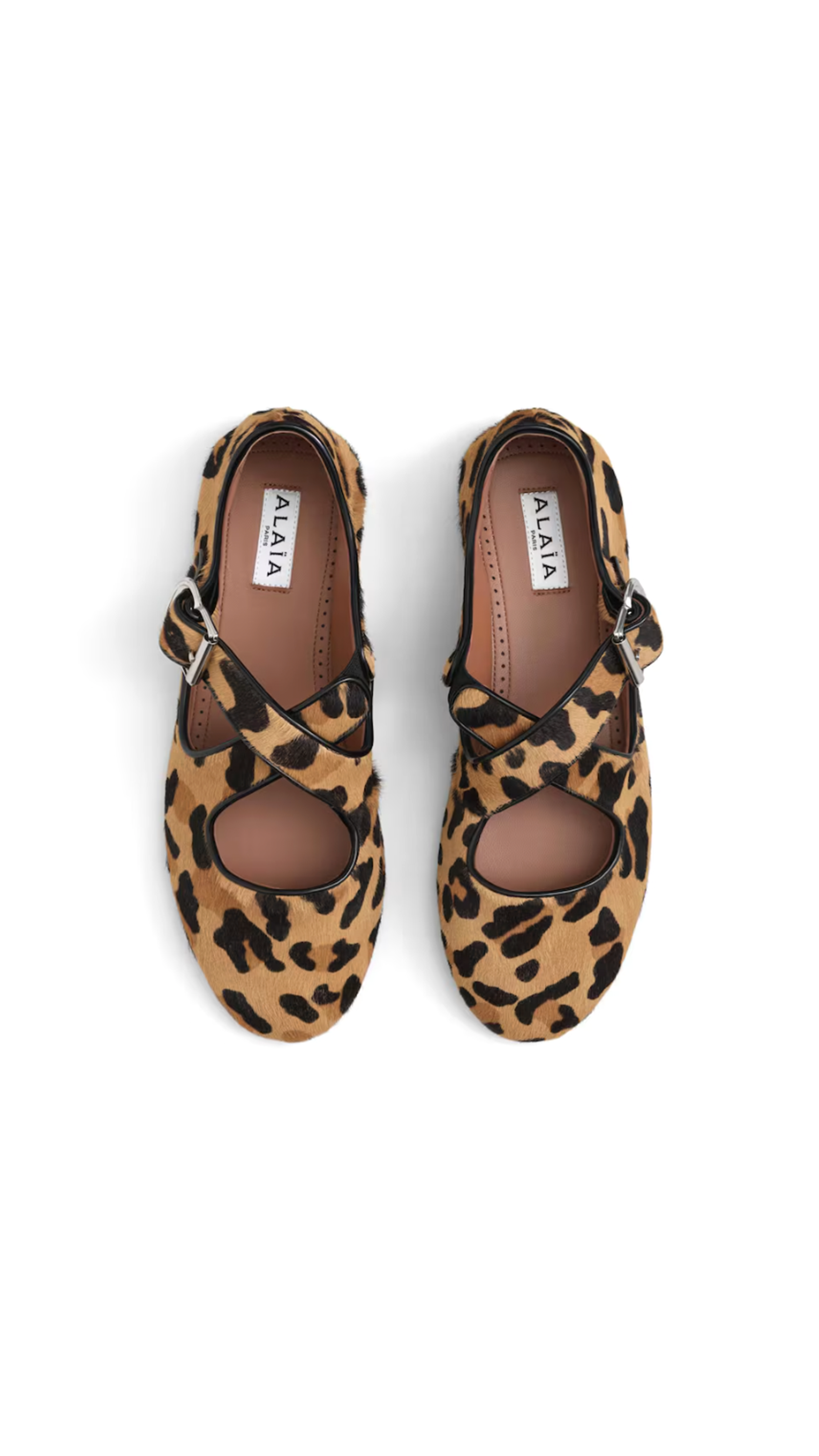Criss Cross Ballet Flats in Leopard Calfhair - Sepia