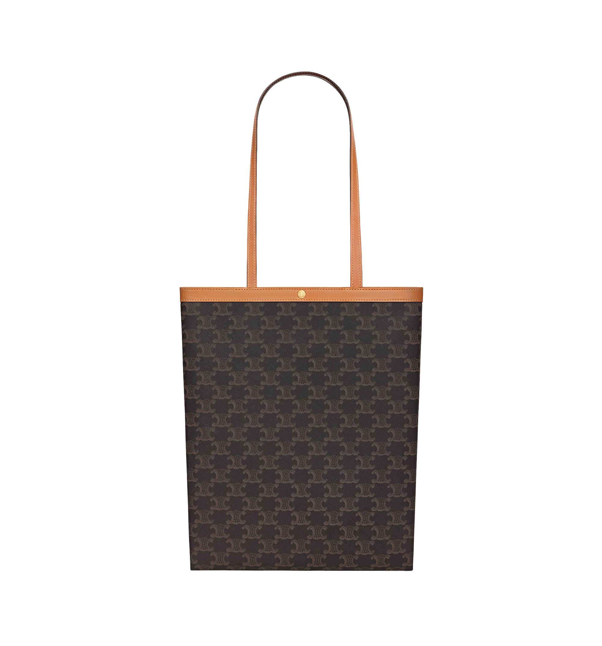 Flat Shopper In Triomphe Canvas
