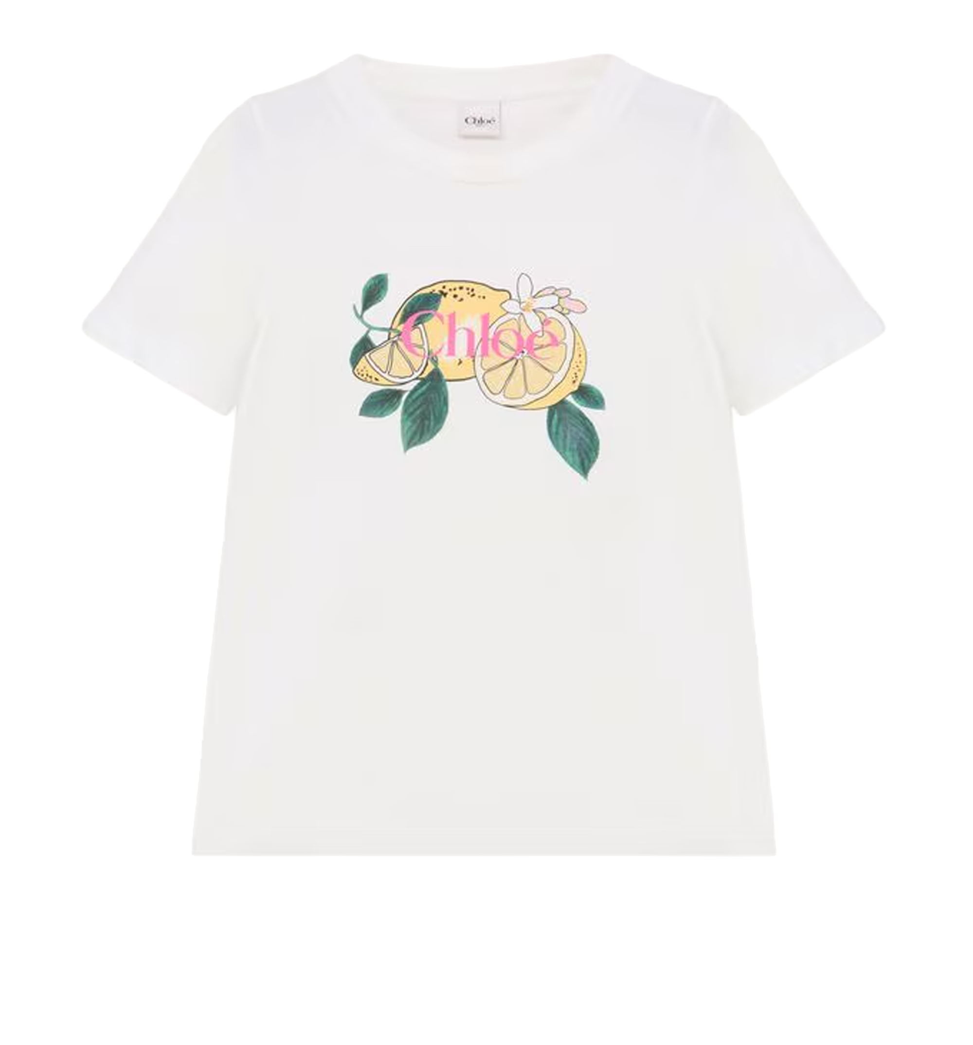 Crew-neck logo T-shirt in cotton jersey