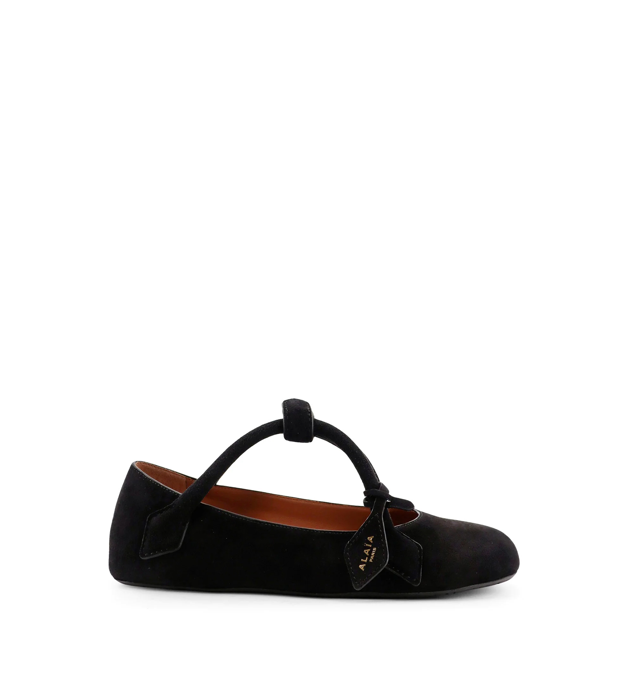 Le Teckel Ballet Flats In Suede Goatskin