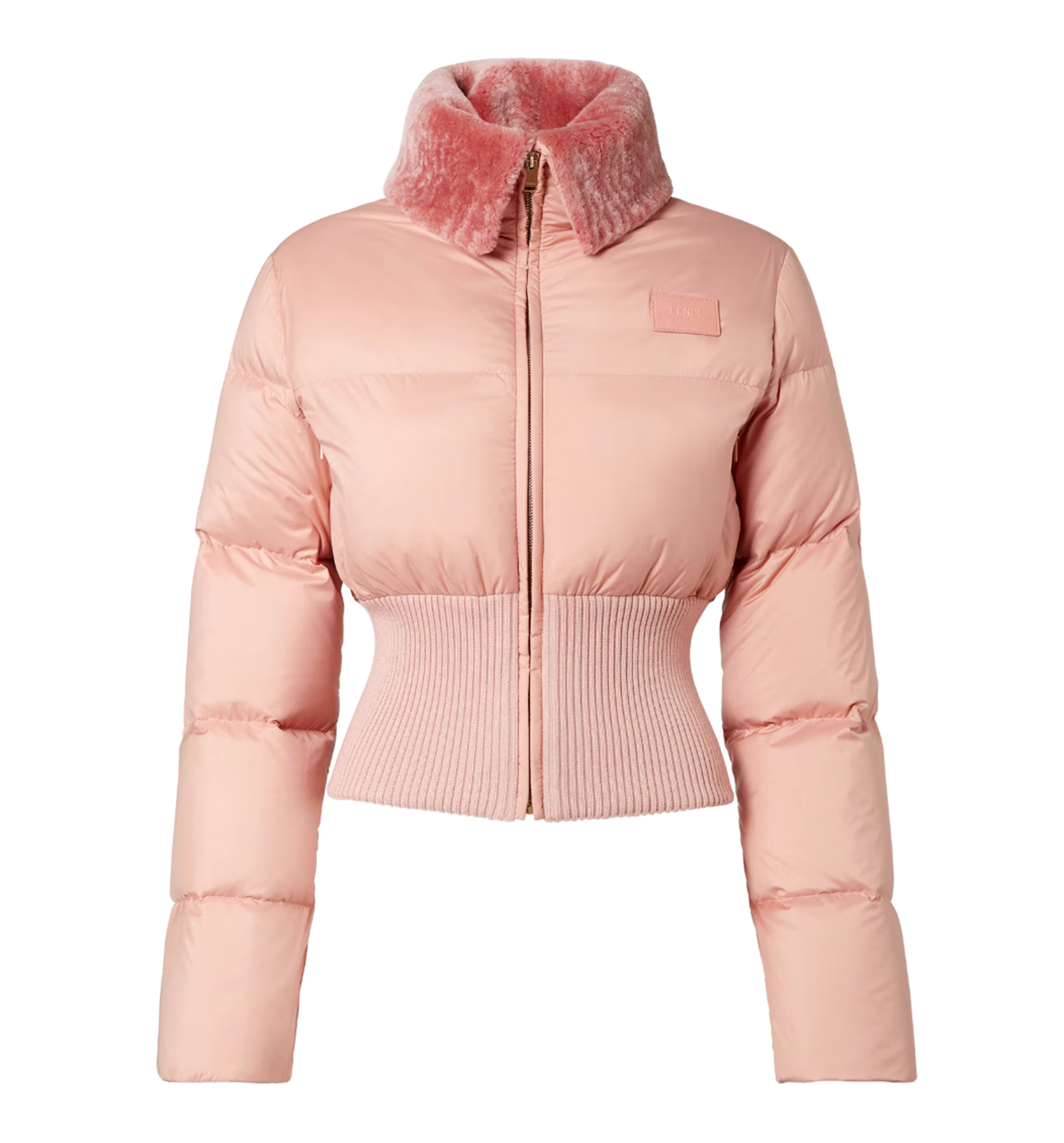 Technical fabric and shearling Down Jacket