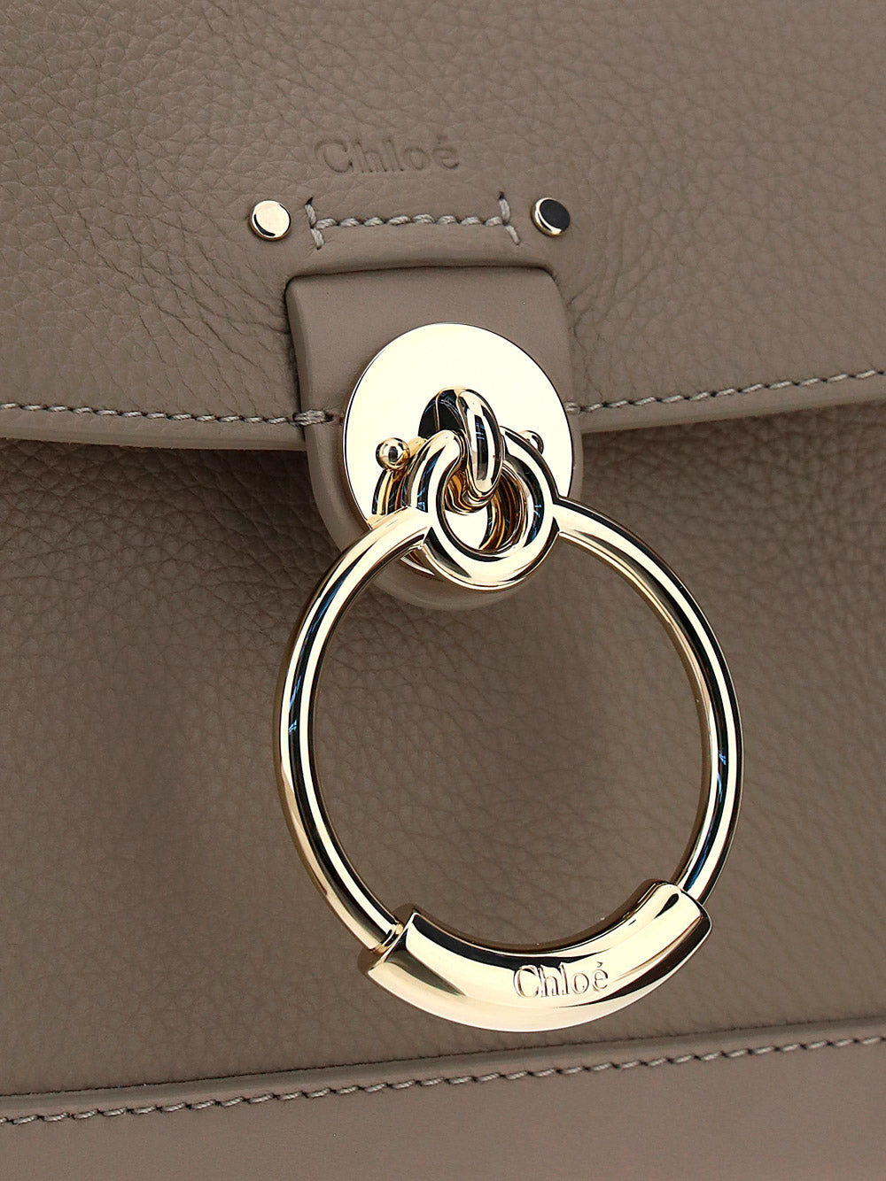 Mini Tess Day Bag in Grained & Shiny Calfskin - Powder