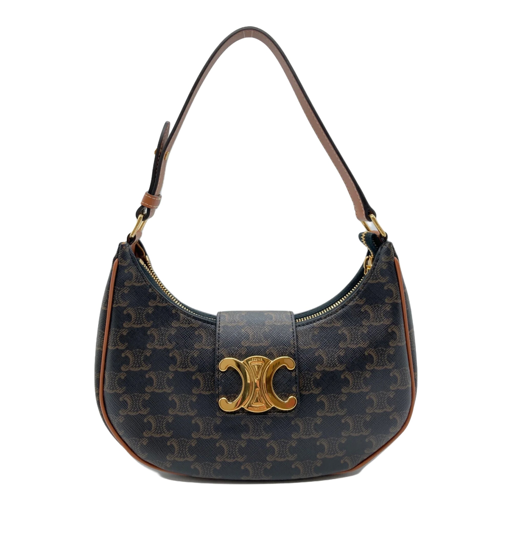 Medium Ava Triomphe Bag in Triomphe Canvas and Calfskin