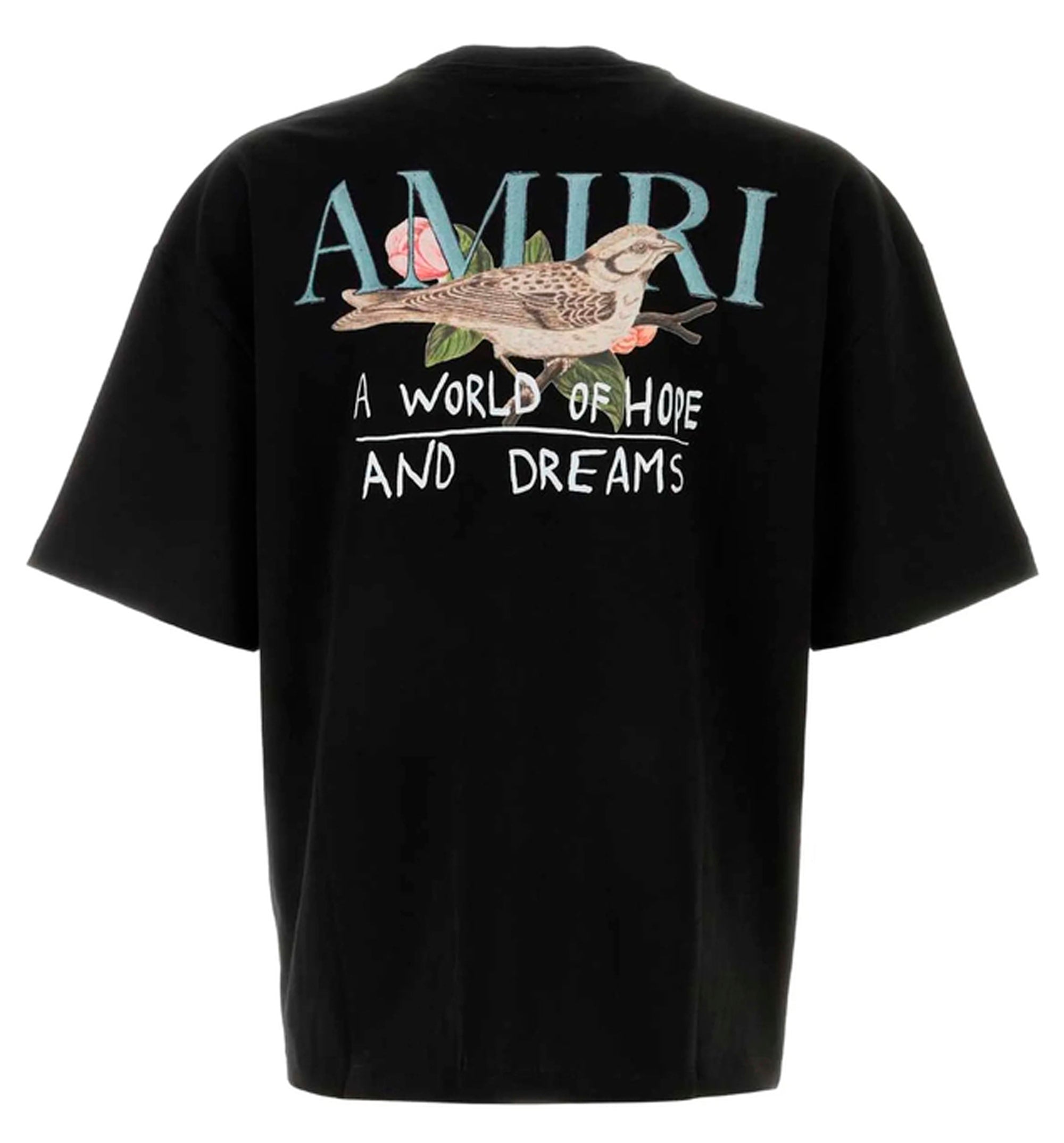 Hope and Dreams oversized Tee