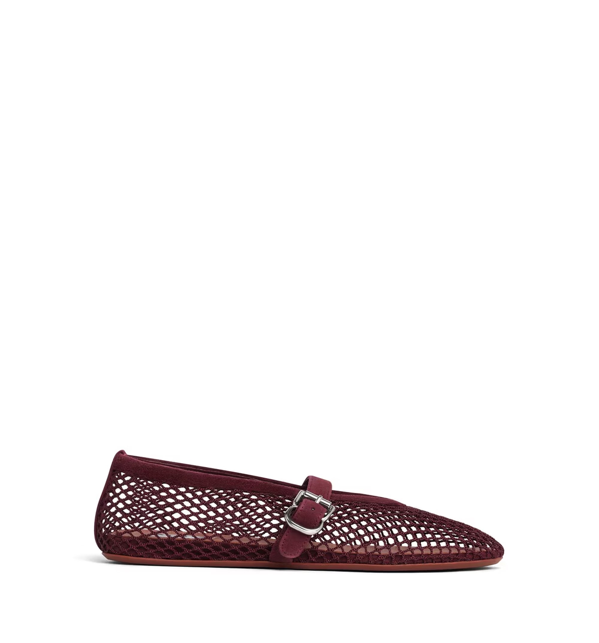 Ballet Flats In Fishnet And Suede