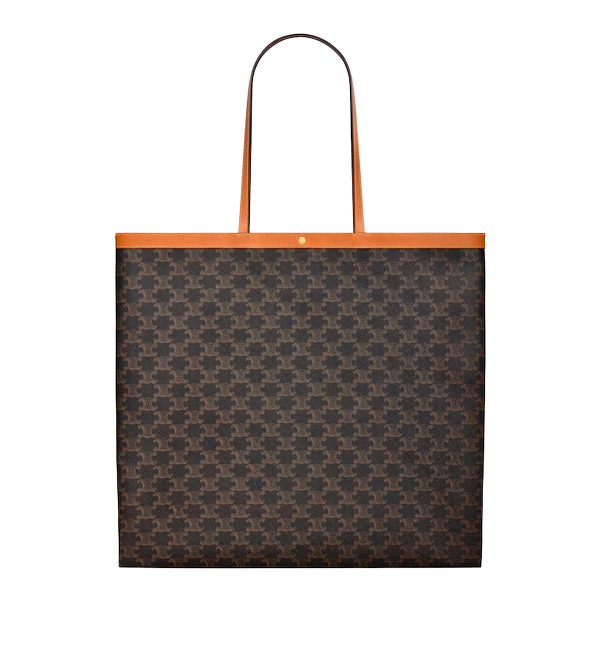 Large Flat Shopper In Triomphe Canvas
