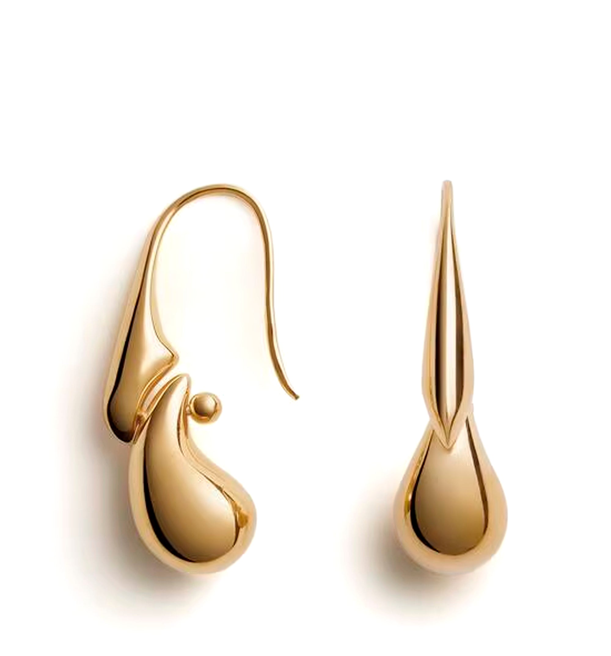 Drop Pendant Earrings