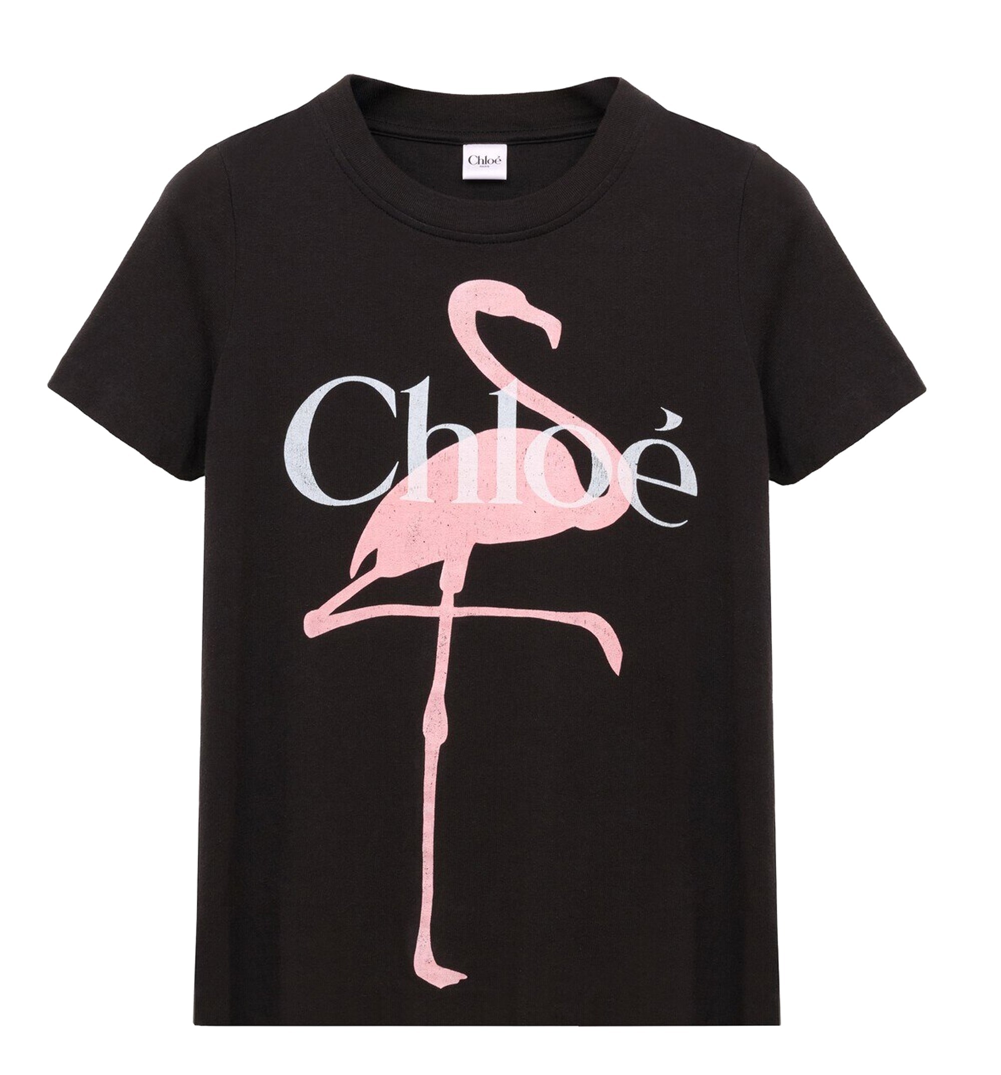 Baby Fit Logo T-Shirt In Cotton Jersey