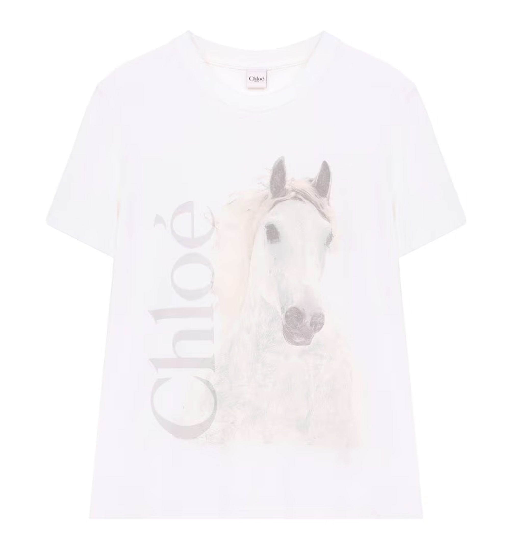 Crew-neck Logo T-Shirt In Cotton Jersey