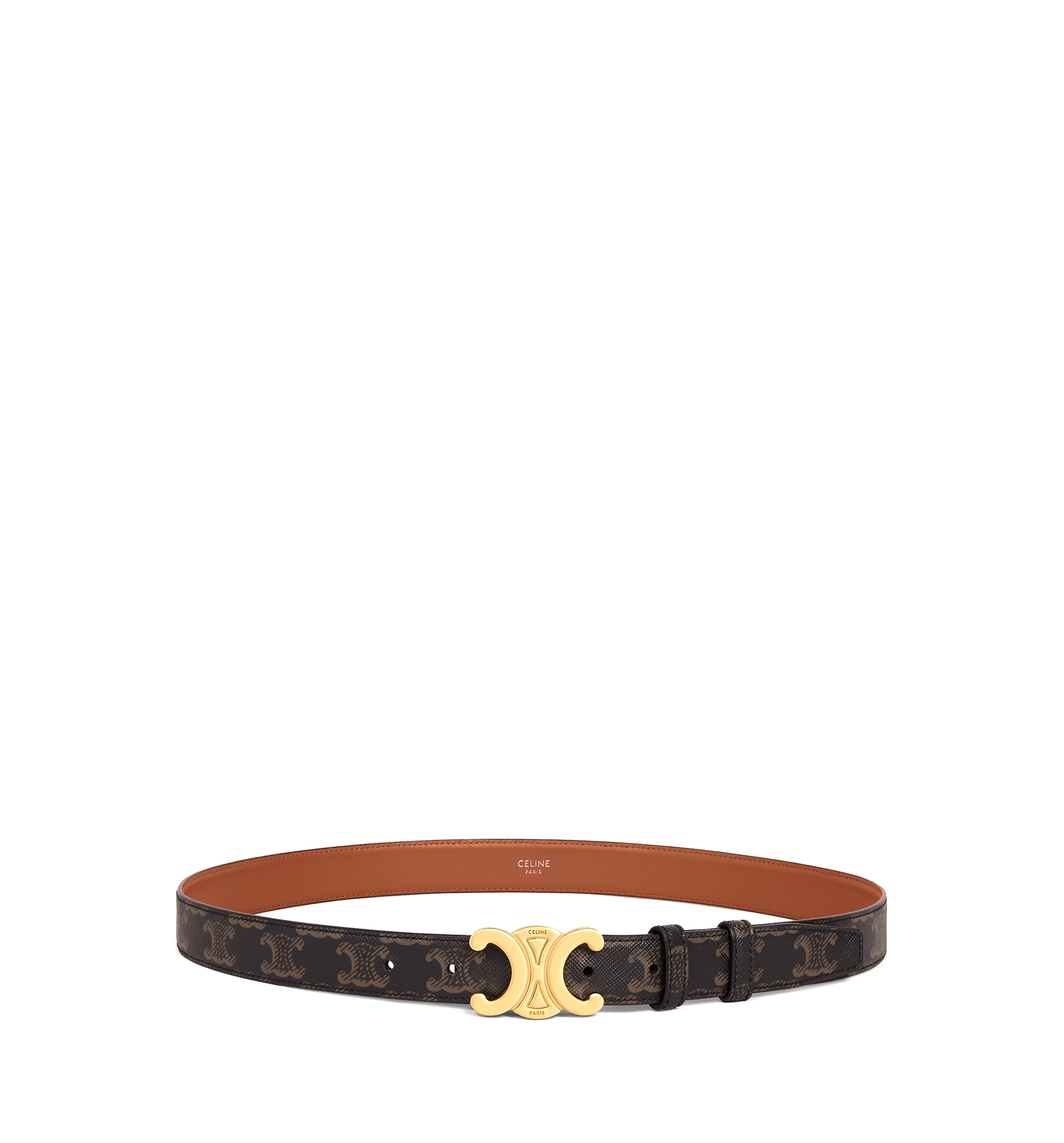 Medium Triomphe Belt in Triomphe Canvas