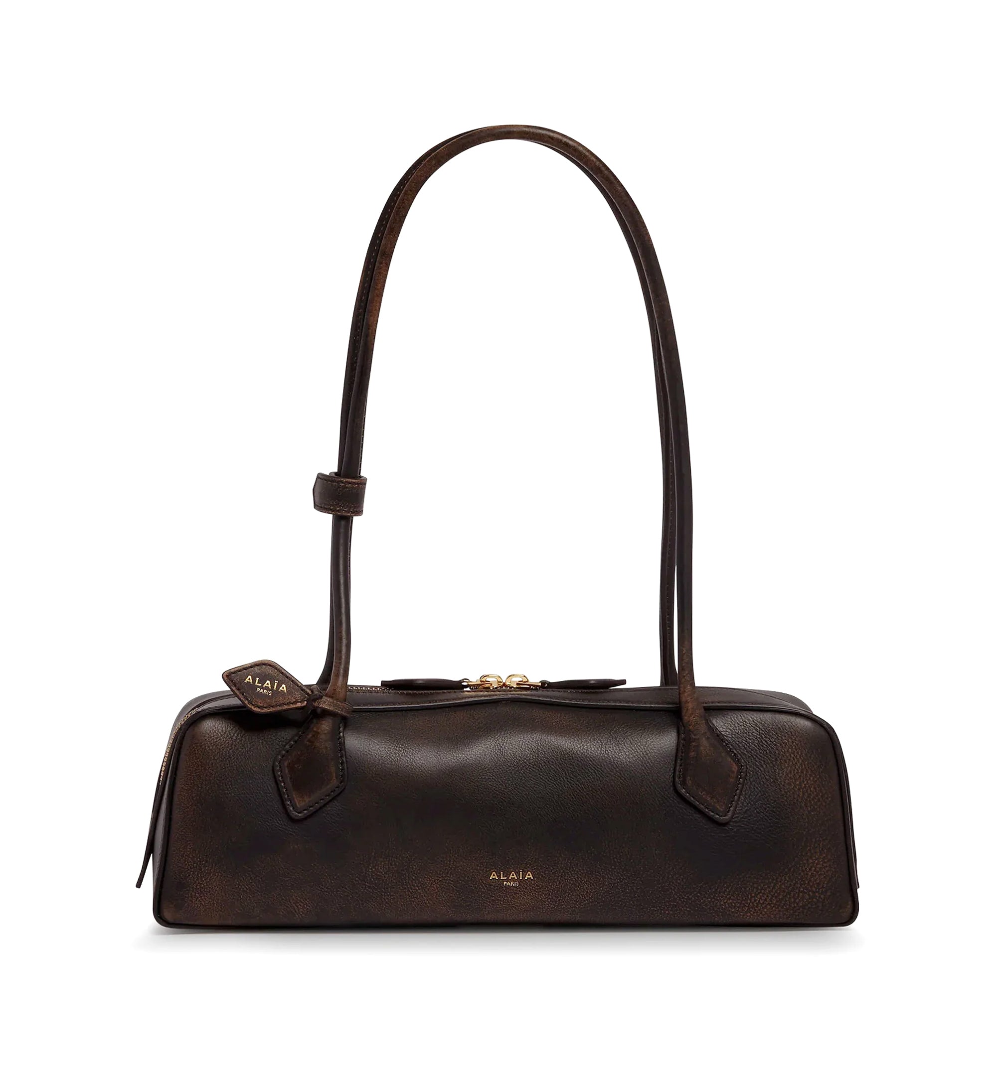 Le Teckel Medium Bag In Aged Leather