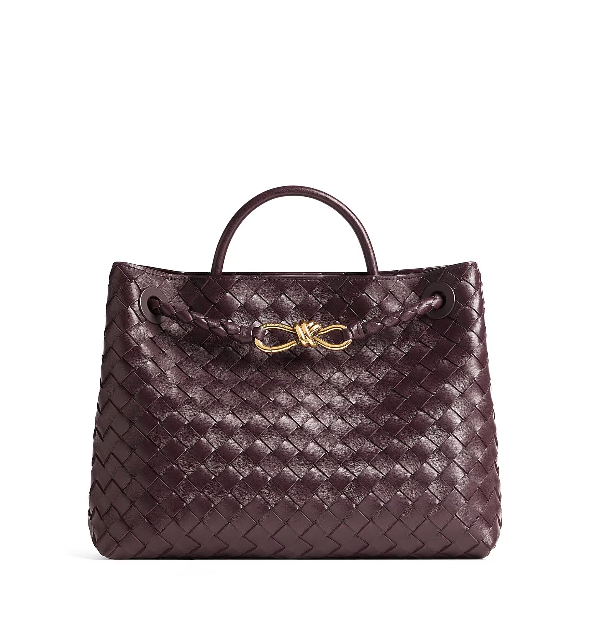 Medium Andiamo Bag