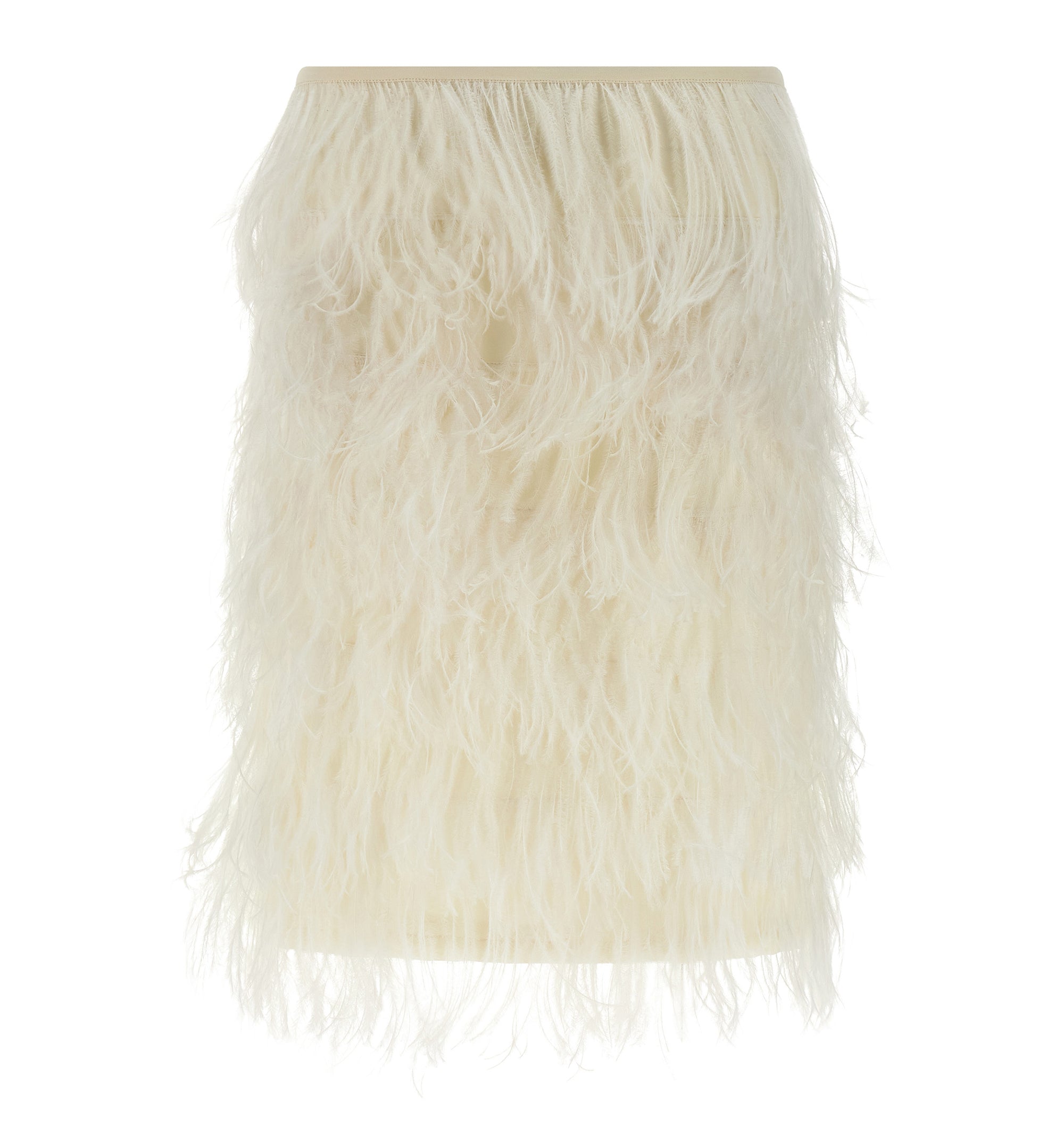 Ostrich Feather Skirt