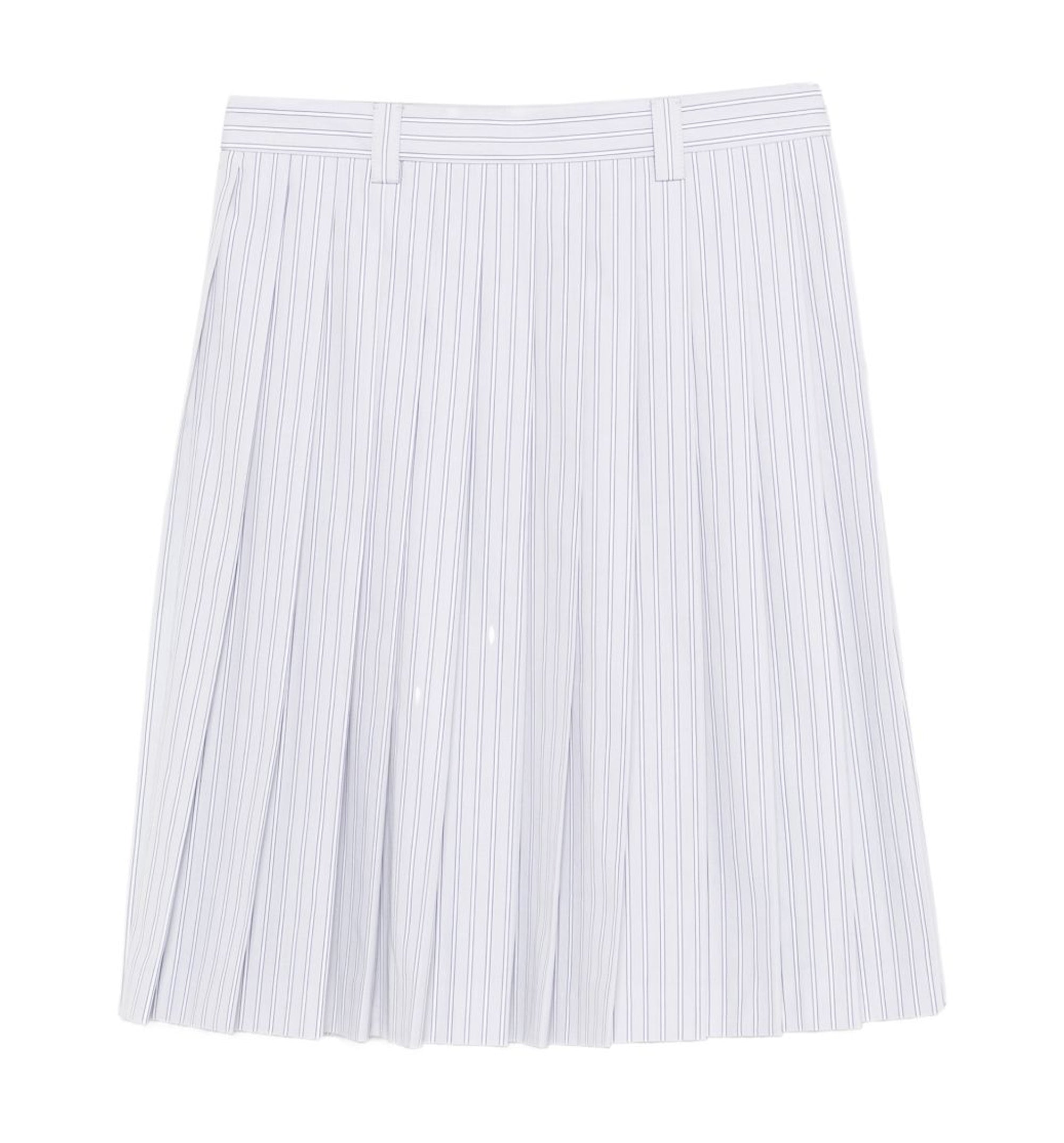 Pleated Striped Poplin Skirt
