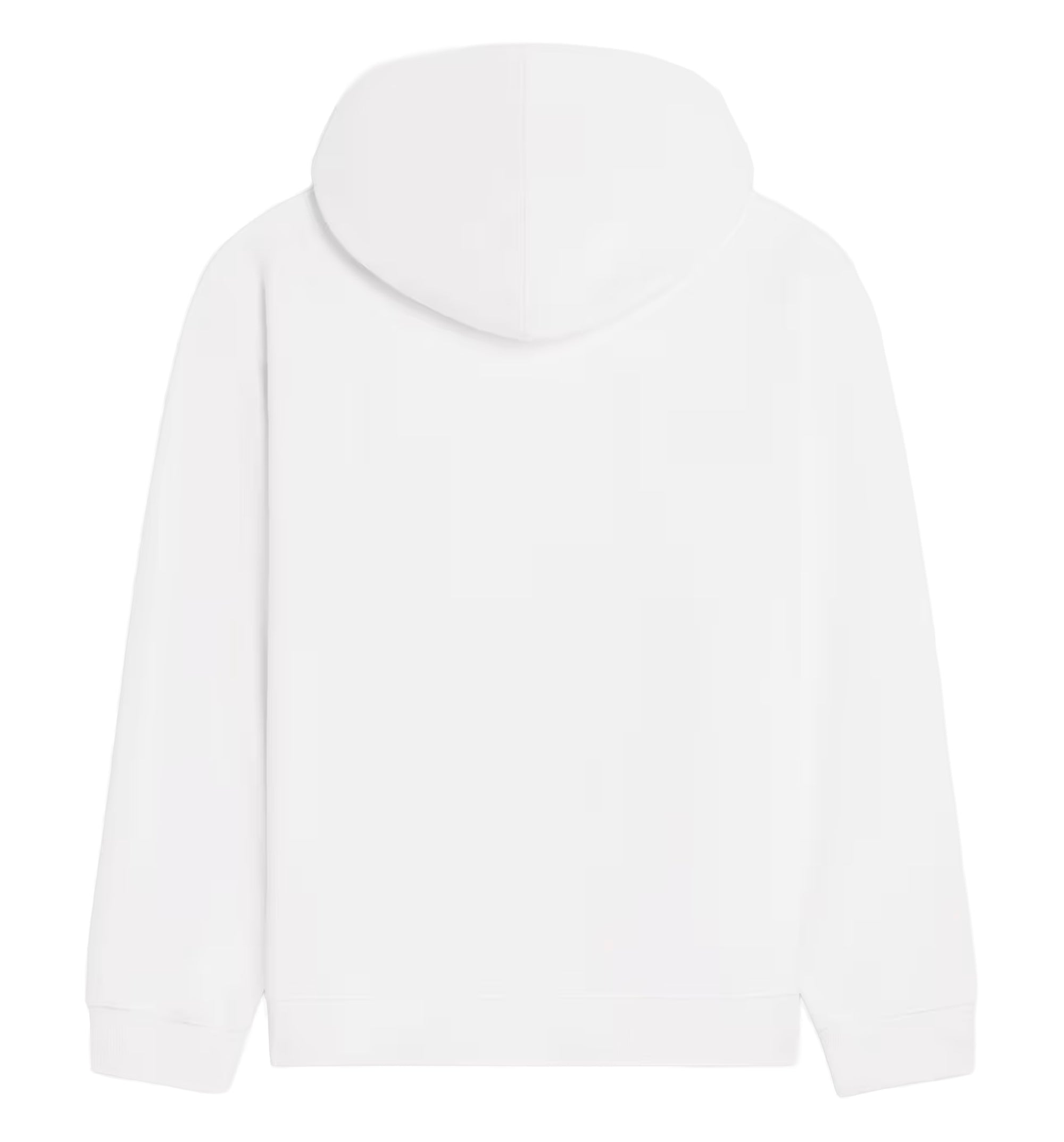 Hoodie In Cotton Fleece