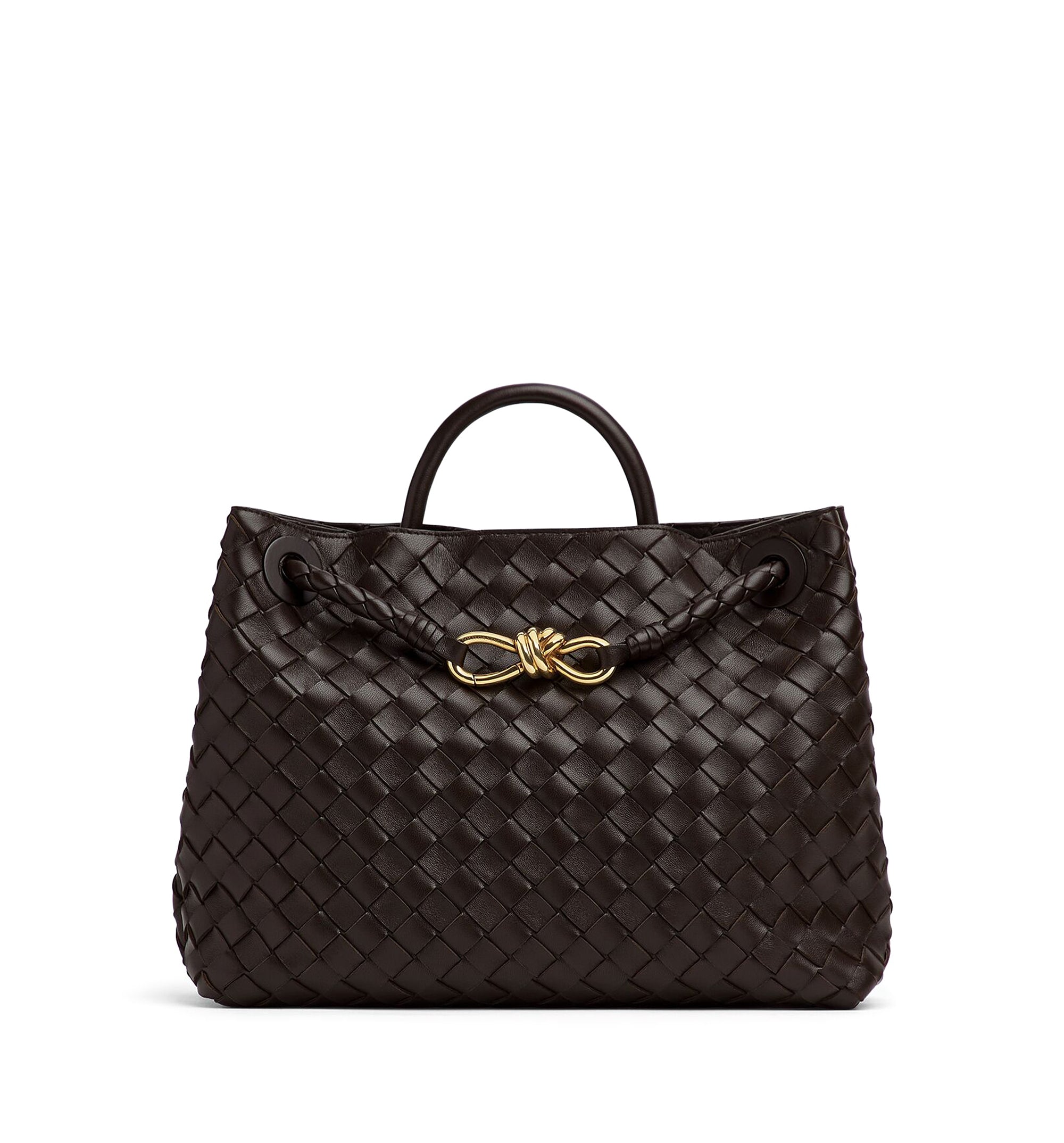 Medium Andiamo Bag