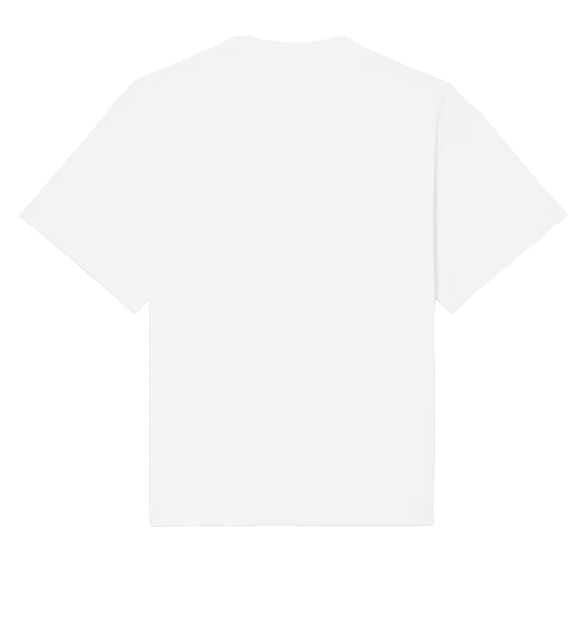 T-Shirt In Cotton Jersey