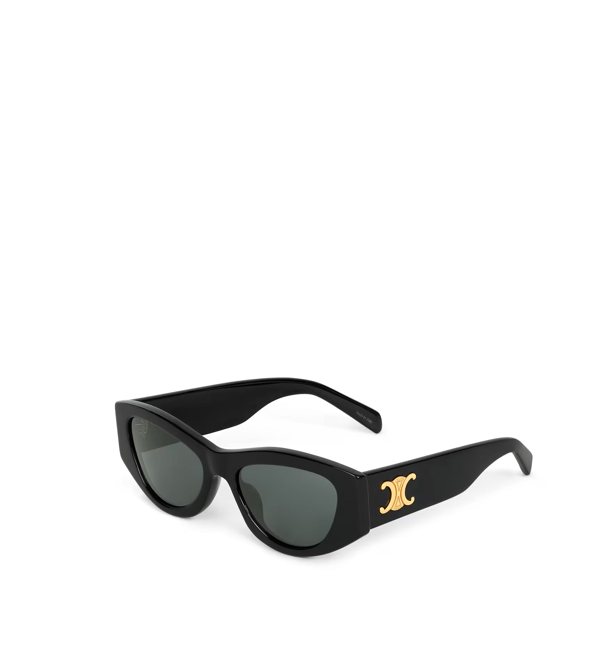 Triomphe 15 Sunglasses in Acetate
