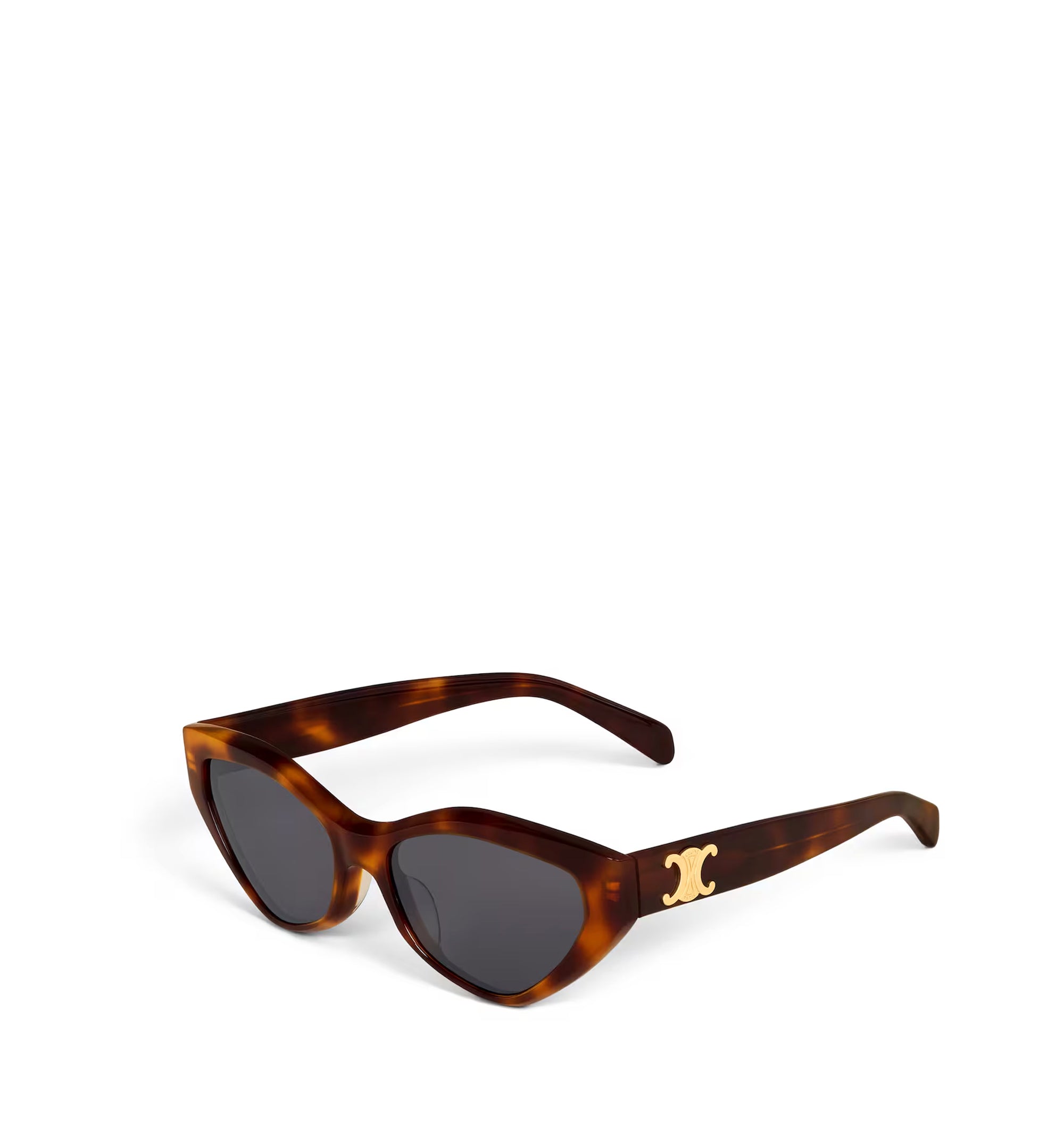 Triomphe 17 Sunglasses in Acetate