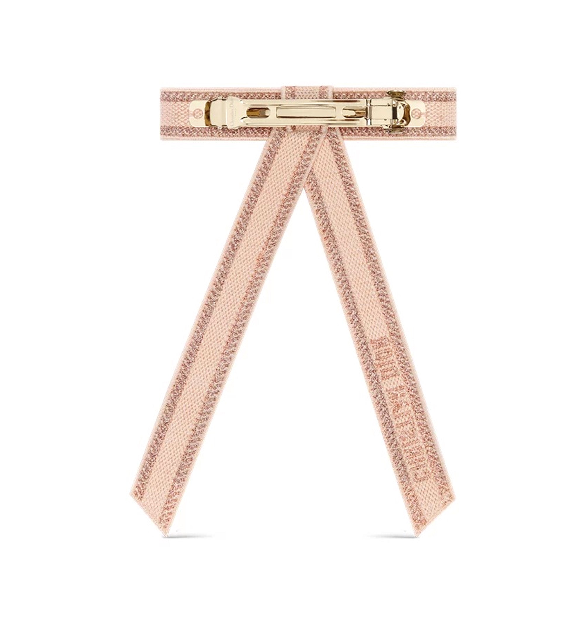 Christian Dior Embroidered Dior Twist Bow