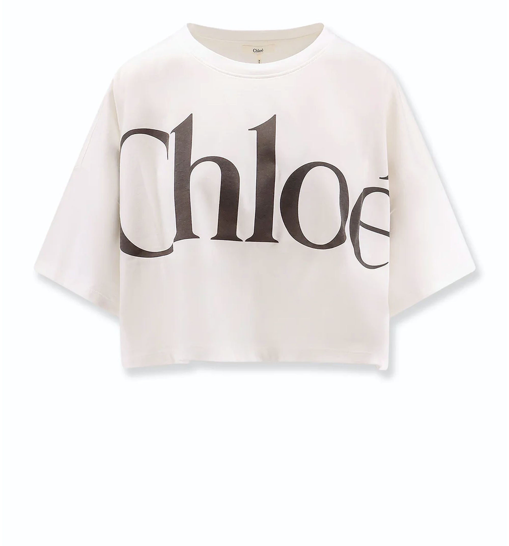 Cropped Boxy Faded Logo T-Shirt