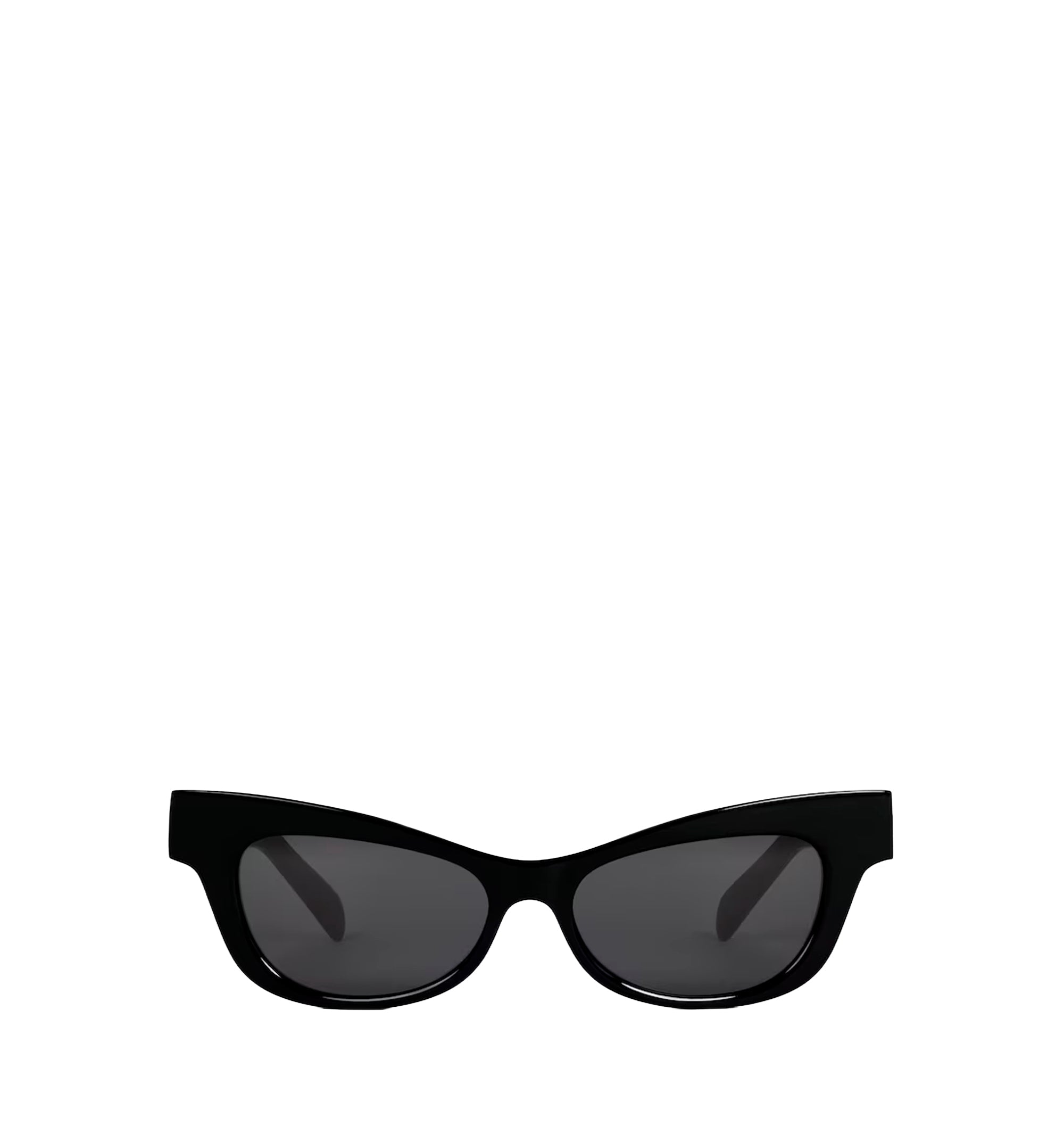 Triomphe 19 Sunglasses In Acetate