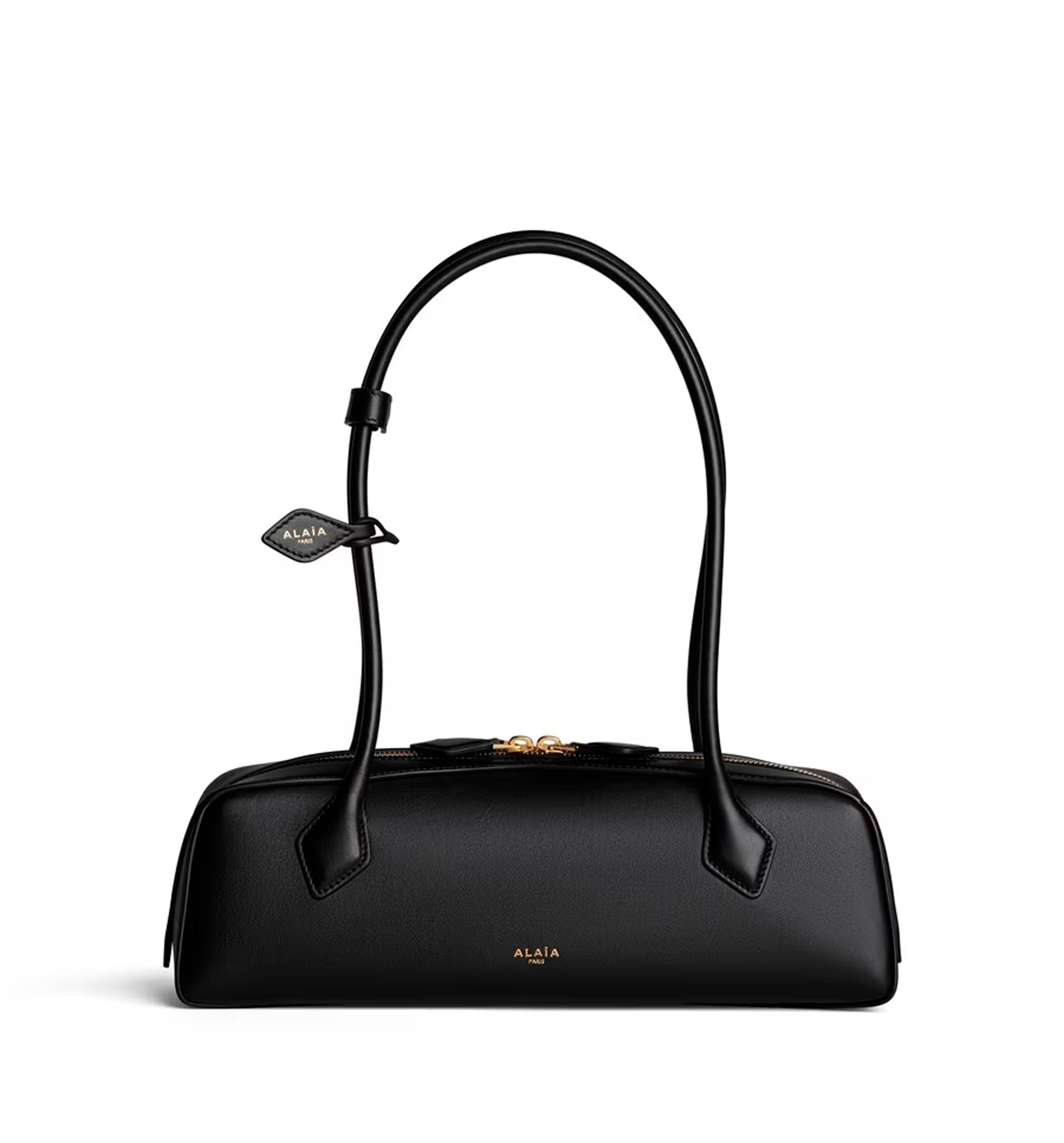 Le Teckel Medium Bag In Calfskin