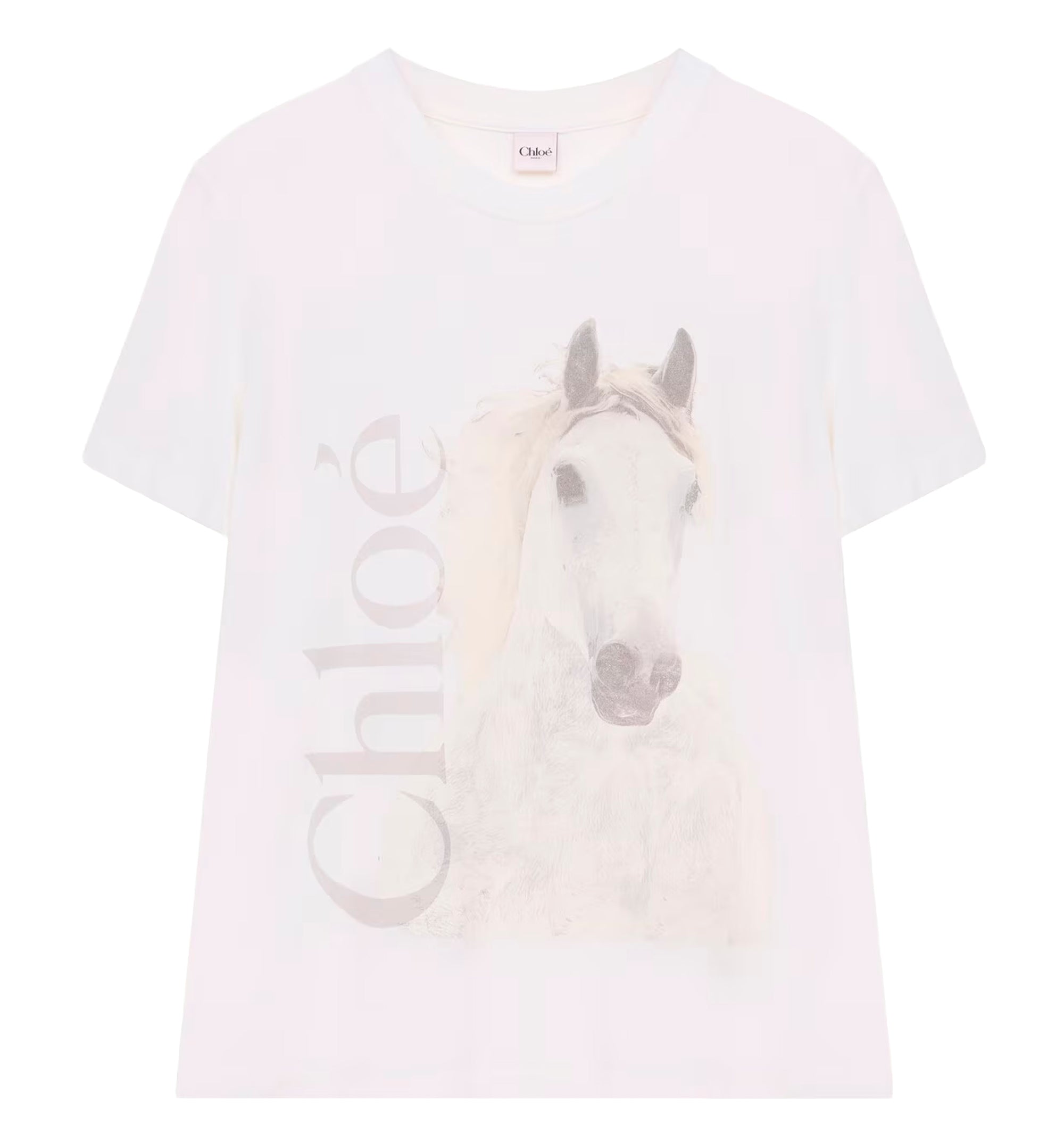 Crew-neck logo T-shirt in cotton jersey